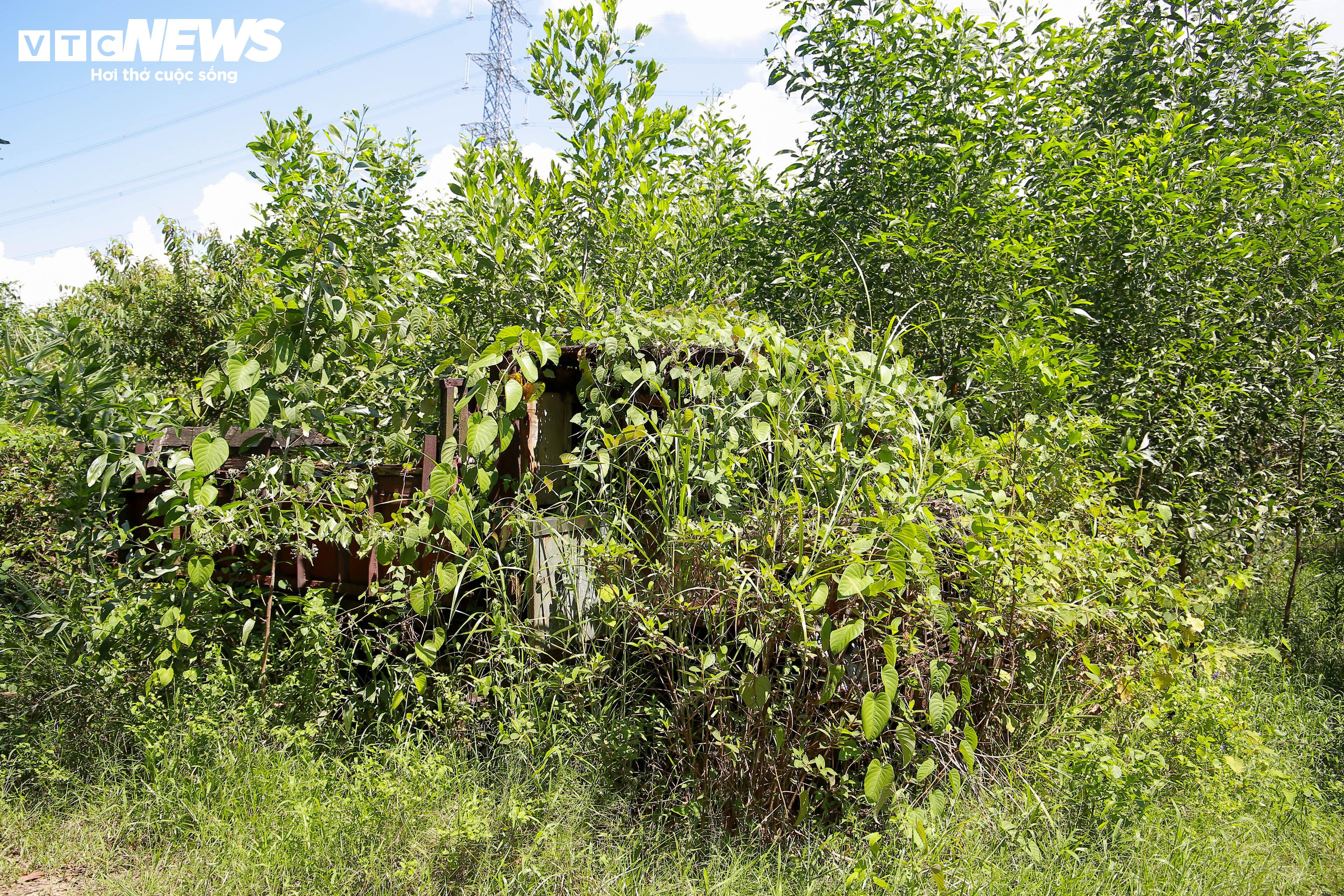 Xe cộ, máy móc tuyển quặng sắt nằm hoen rỉ gần nửa thập kỷ trong rừng tràm ở Huế - 2
