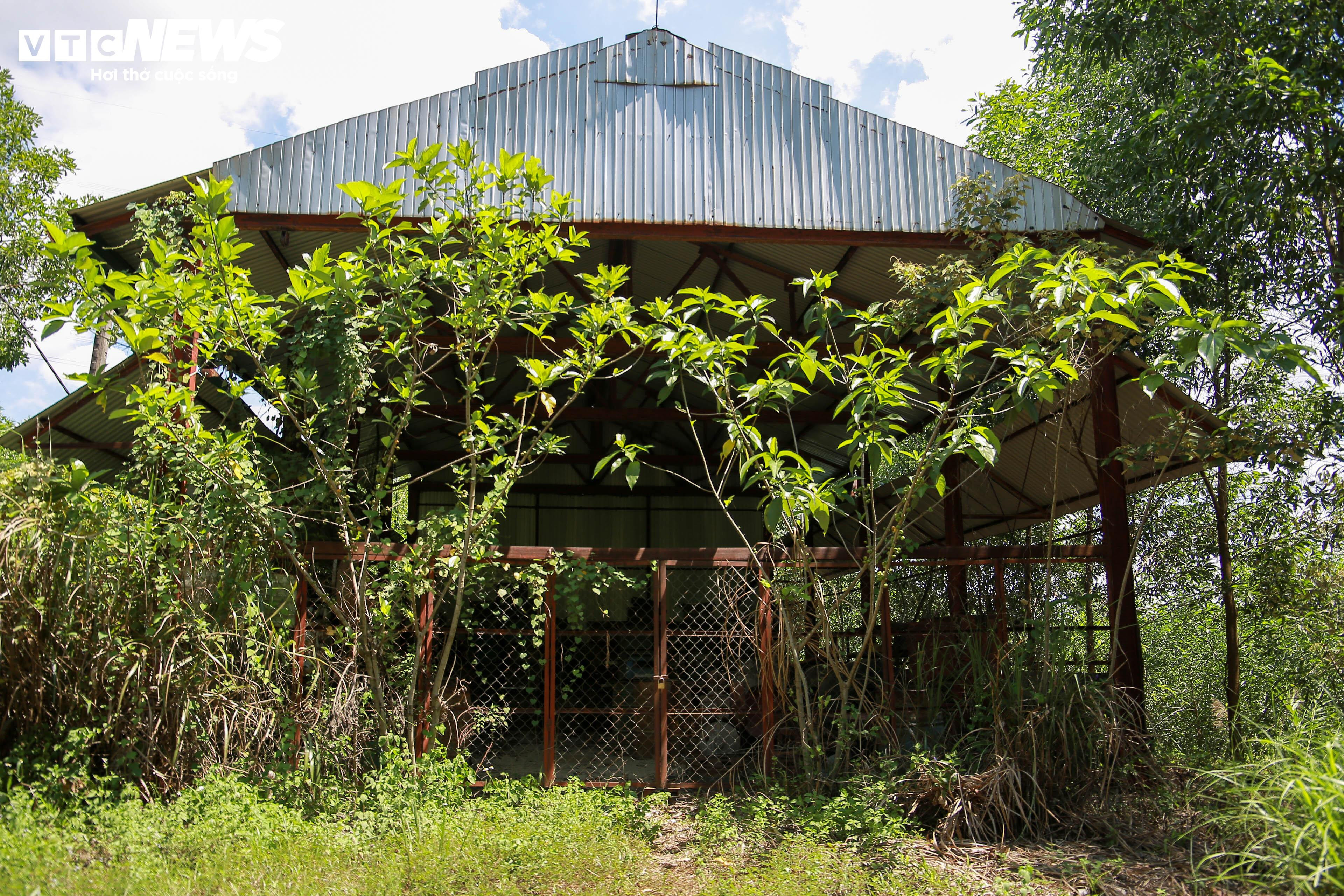 Xe cộ, máy móc tuyển quặng sắt nằm hoen rỉ gần nửa thập kỷ trong rừng tràm ở Huế - 7