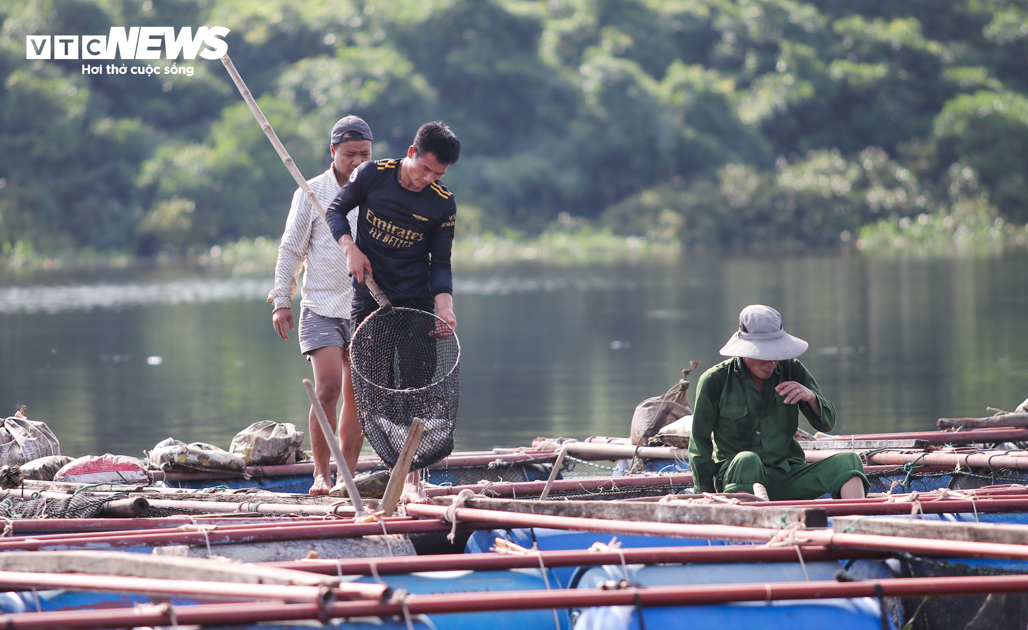 Hơn 50 tấn cá lồng chết phơi bụng, nông dân Hà Tĩnh trắng tay sau 1 đêm - 5