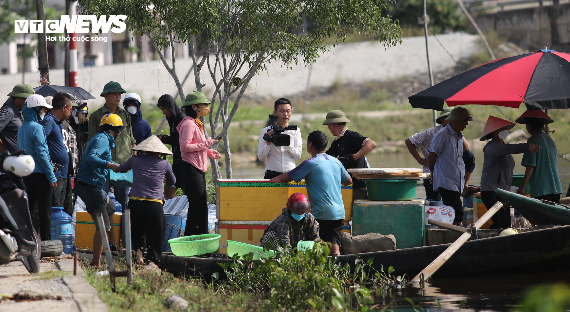Hơn 50 tấn cá lồng chết phơi bụng, nông dân Hà Tĩnh trắng tay sau 1 đêm - 11