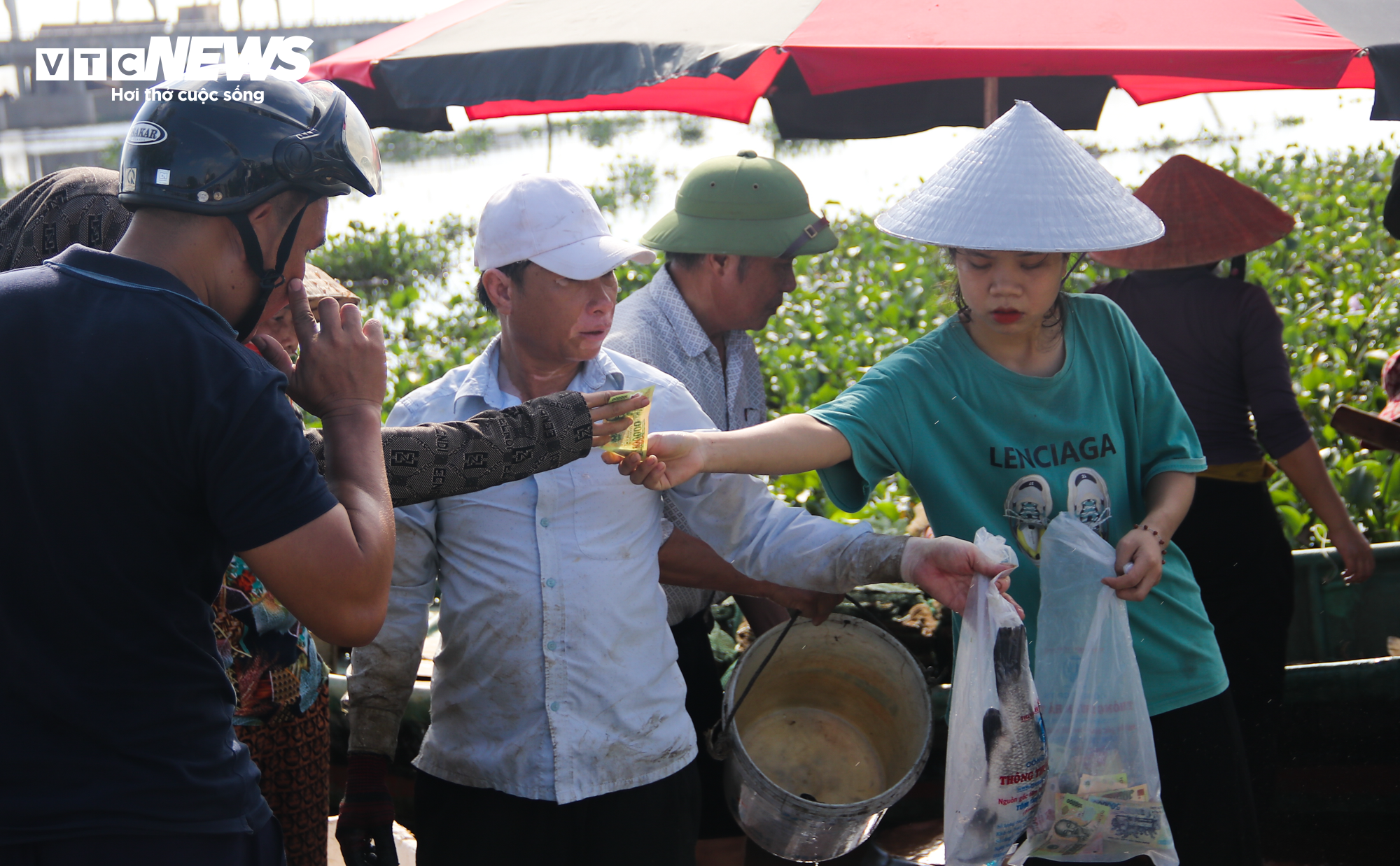 Hơn 50 tấn cá lồng chết phơi bụng, nông dân Hà Tĩnh trắng tay sau 1 đêm - 8