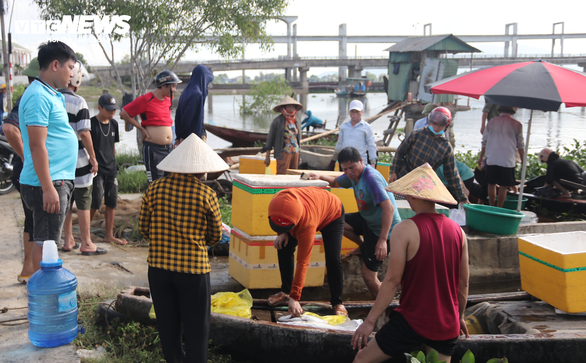 Hơn 50 tấn cá lồng chết phơi bụng, nông dân Hà Tĩnh trắng tay sau 1 đêm - 9