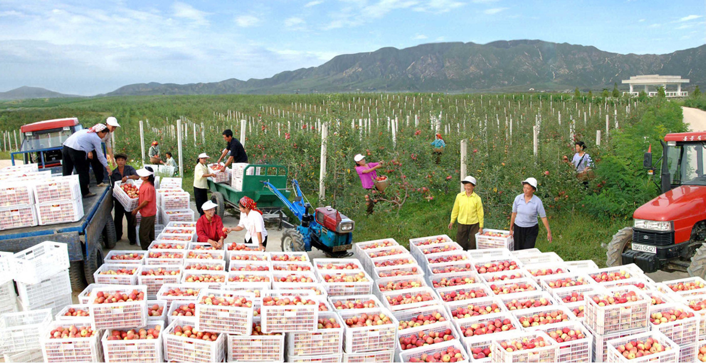 Hình ảnh thay đổi của Triều Tiên sau 78 năm - 8