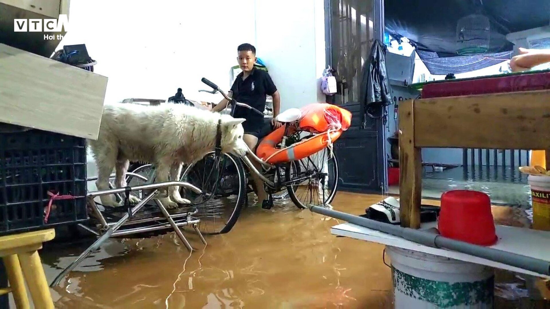 Nước tràn vào nhà, dân Đà Nẵng tất tả dọn đồ chạy lụt - 8
