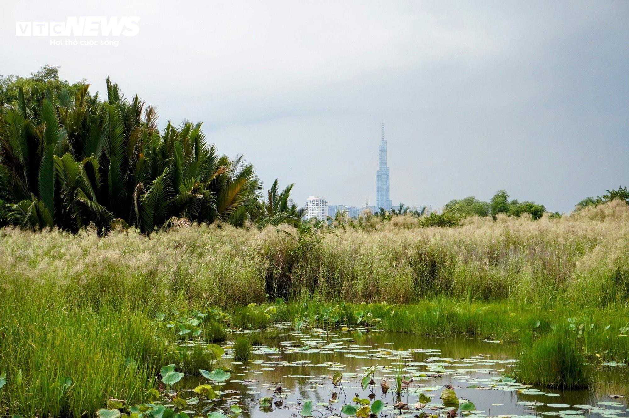 Dự án 'treo' 30 năm Bình Quới - Thanh Đa sắp được 'giải thoát' - 7