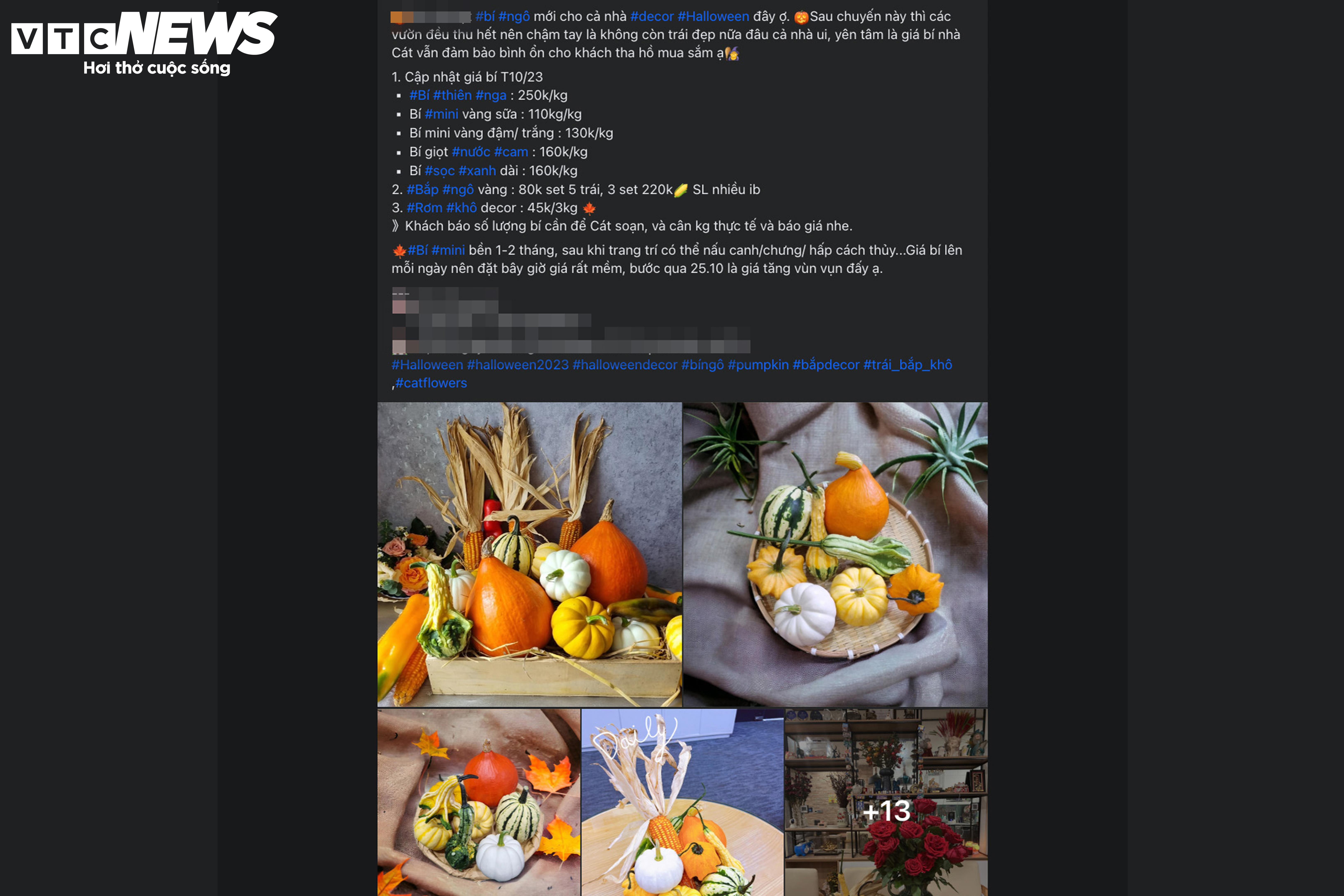 Khách lùng mua trang trí Halloween, bí ngô đủ loại cháy hàng - 11