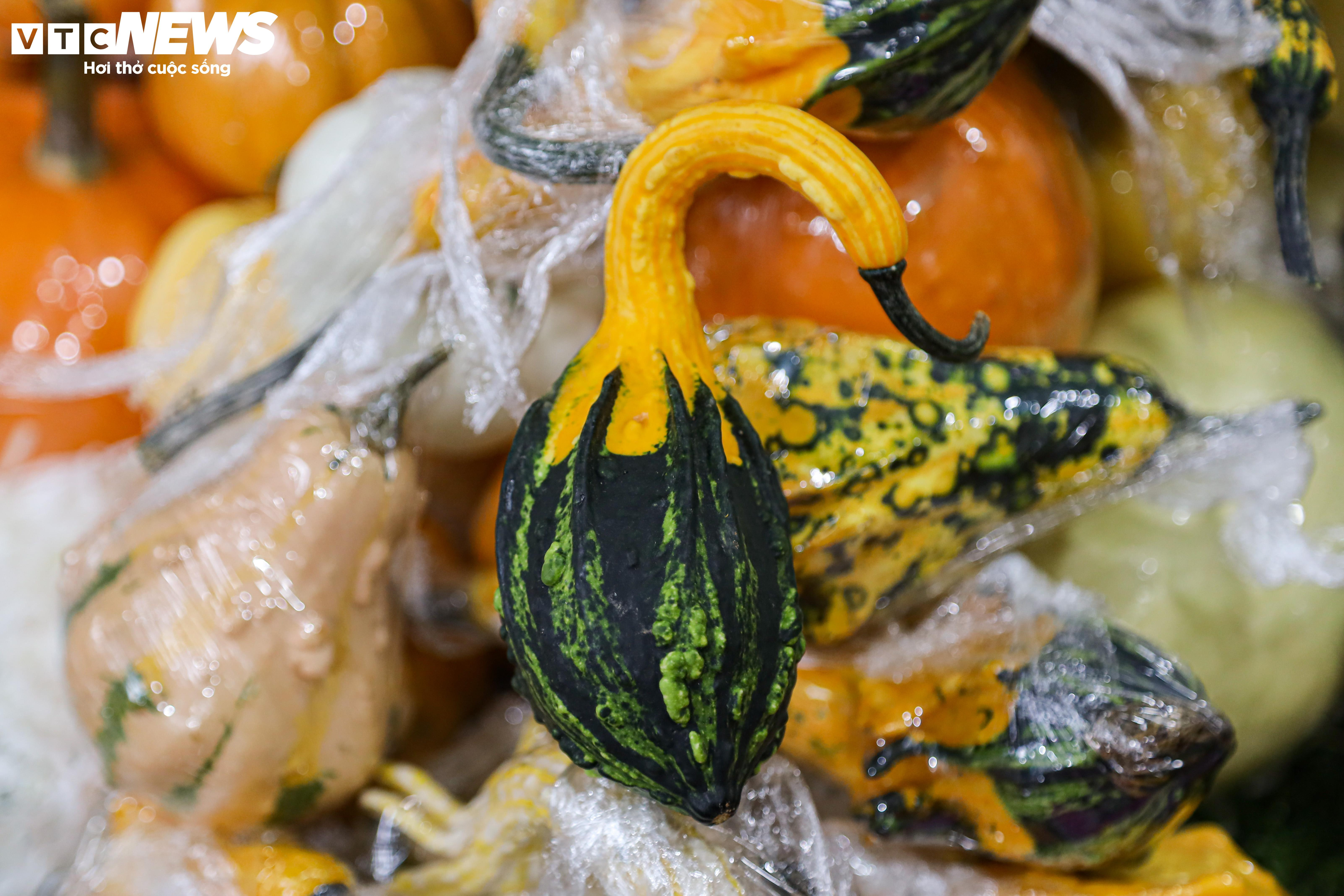 Khách lùng mua trang trí Halloween, bí ngô đủ loại cháy hàng - 4