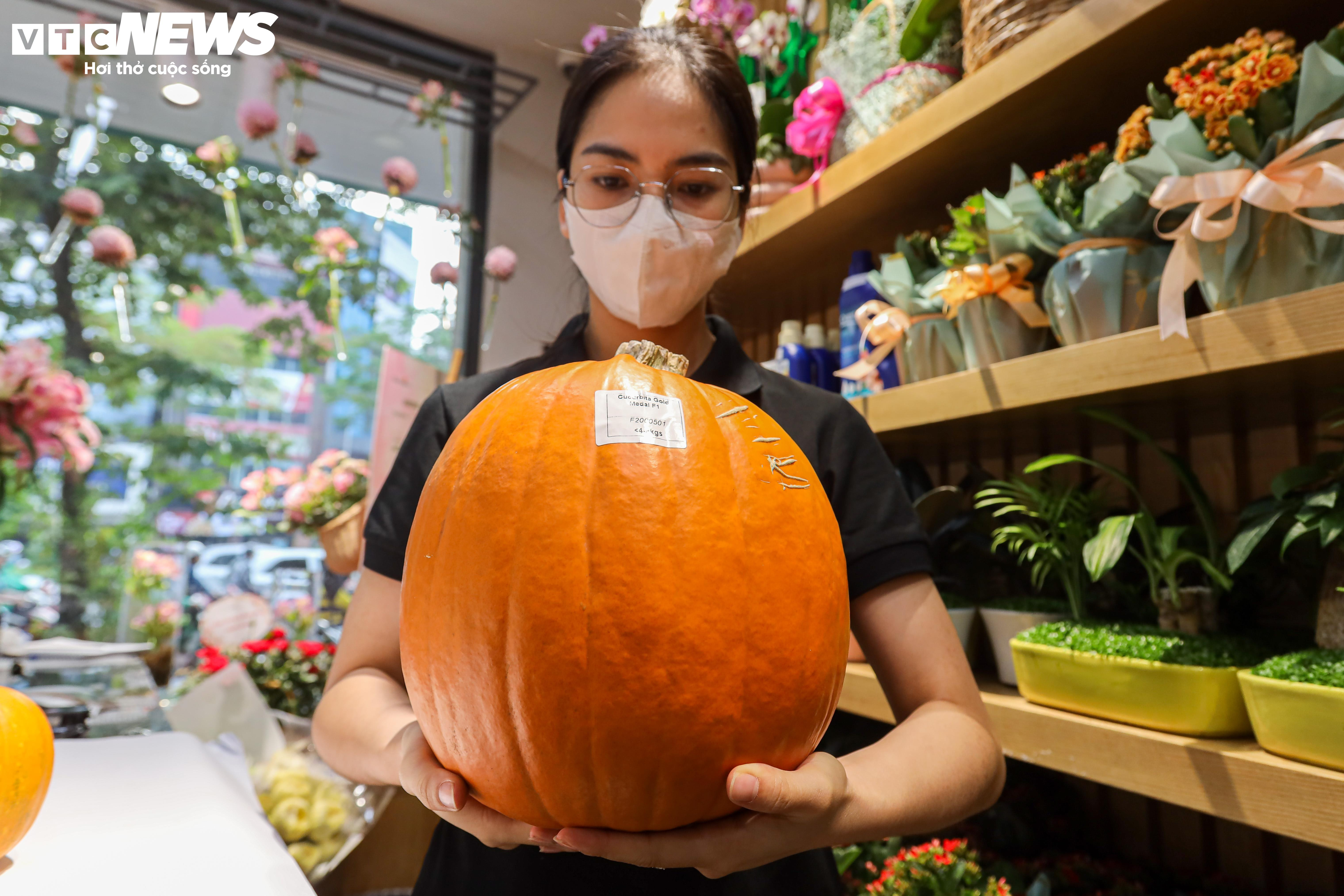 Khách lùng mua trang trí Halloween, bí ngô đủ loại cháy hàng - 8