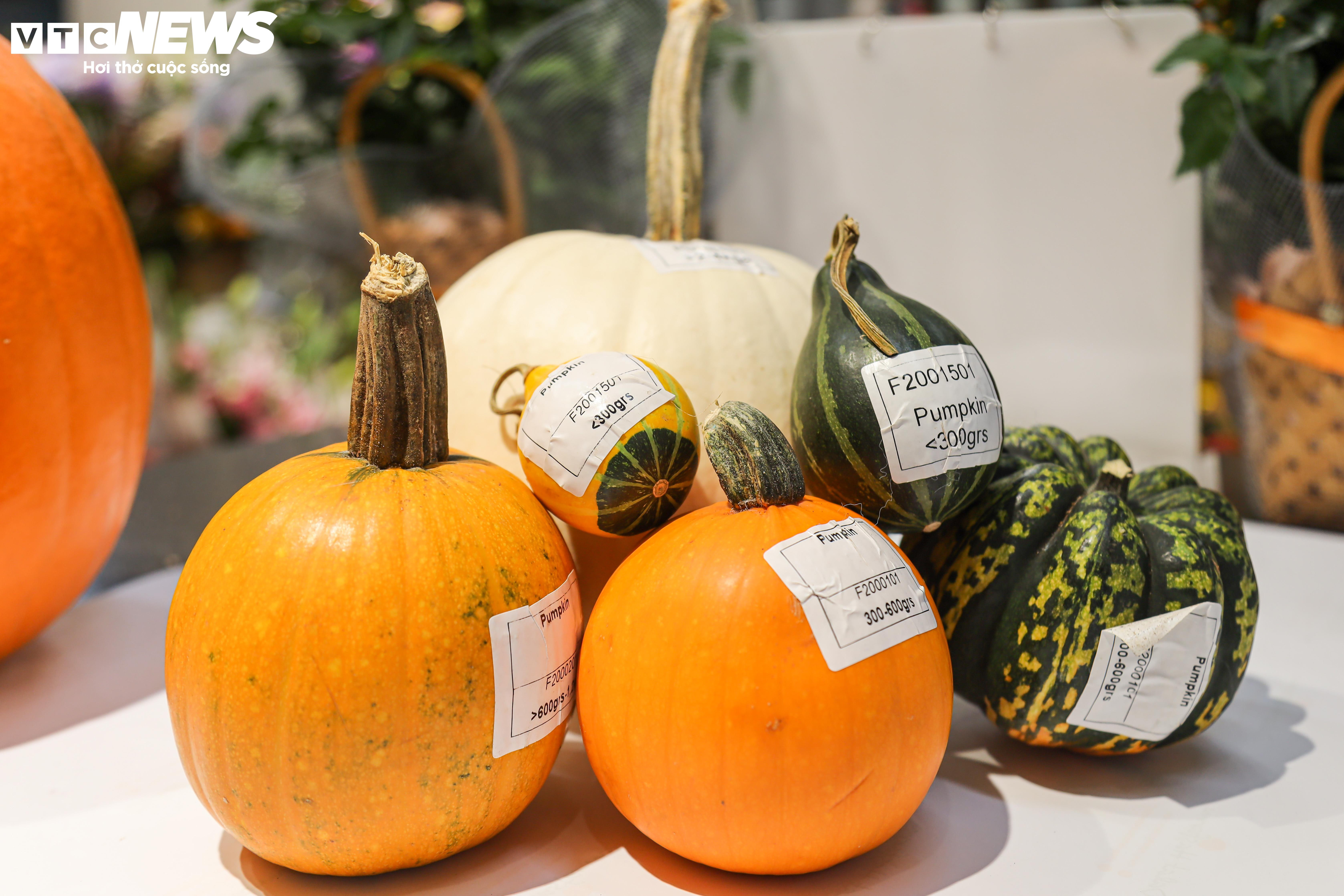 Khách lùng mua trang trí Halloween, bí ngô đủ loại cháy hàng - 10