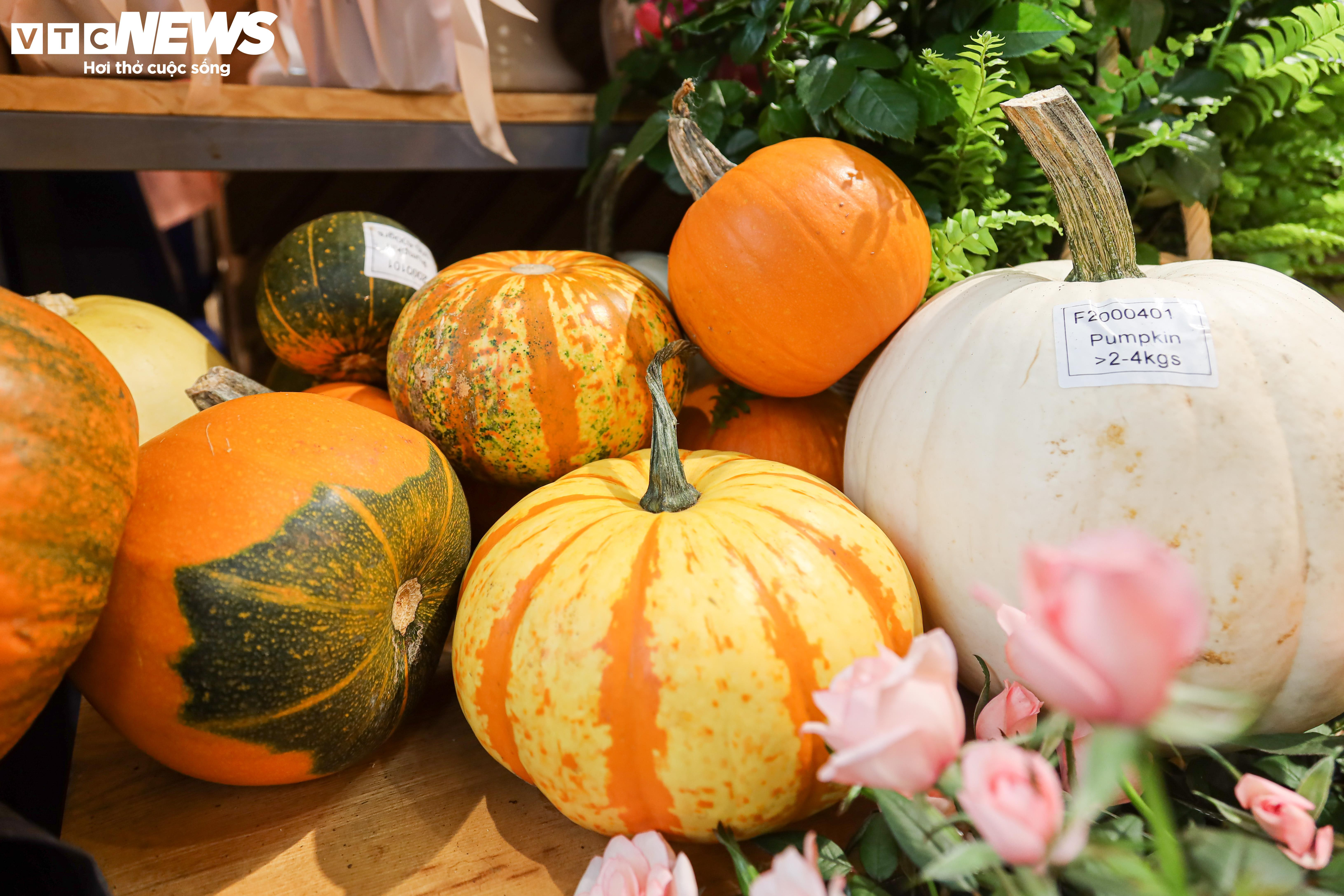 Khách lùng mua trang trí Halloween, bí ngô đủ loại cháy hàng - 7