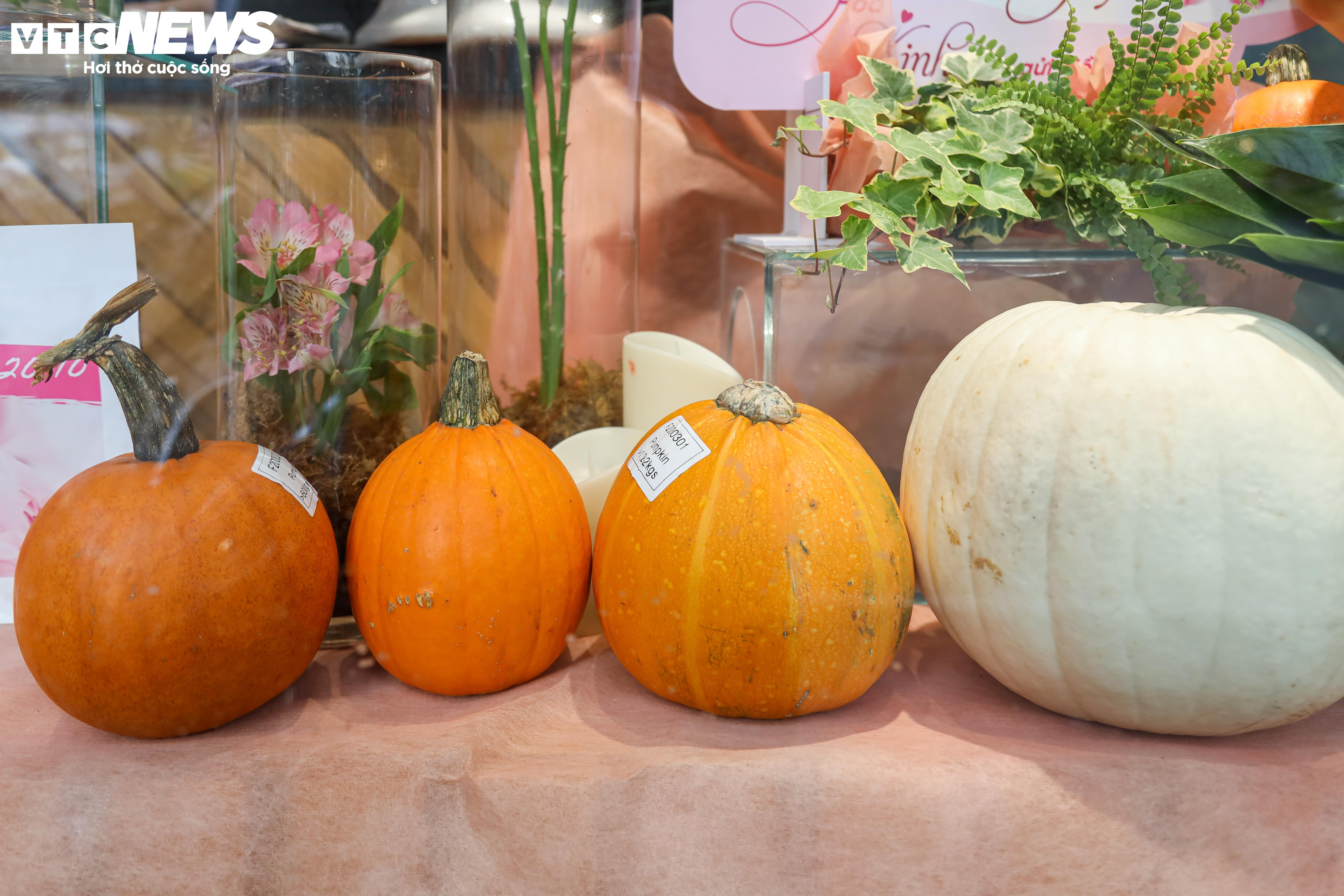 Khách lùng mua trang trí Halloween, bí ngô đủ loại cháy hàng - 6