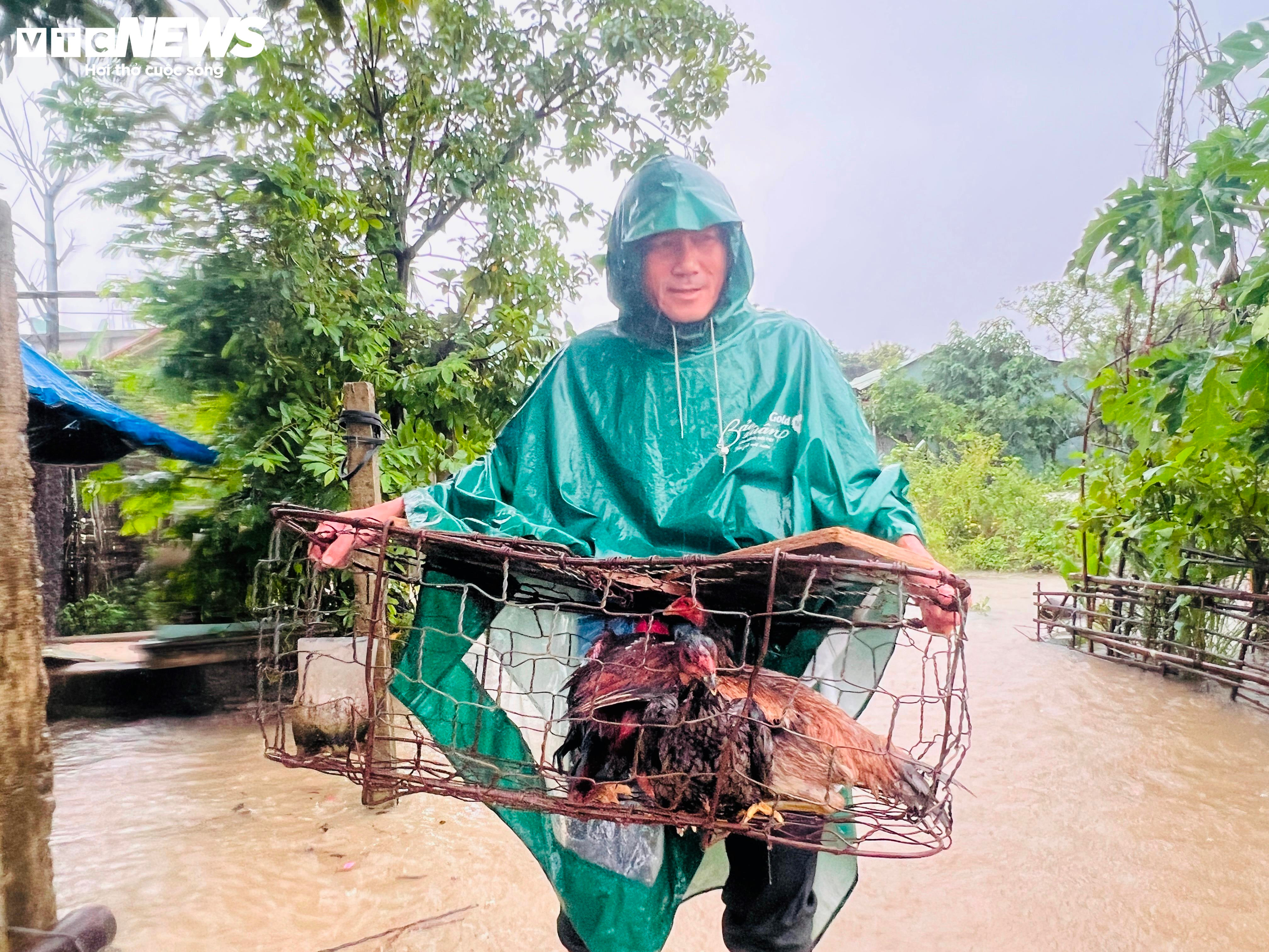Mưa lớn gây ngập sâu, người dân Quảng Nam tất tả dọn đồ tránh lũ - 5