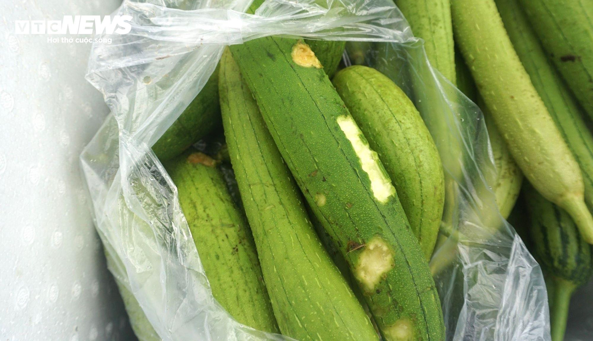 Nông dân Đà Nẵng rớt nước mắt nhặt từng cọng rau sau mưa lũ - 9