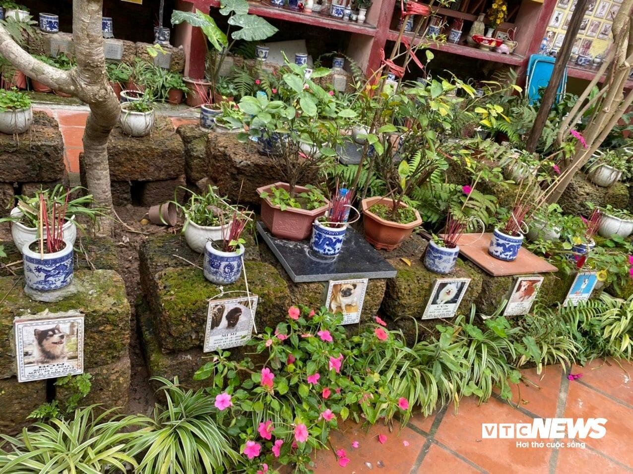 Ông lão 83 tuổi và nghĩa trang thú cưng có một không hai ở Việt Nam - 4