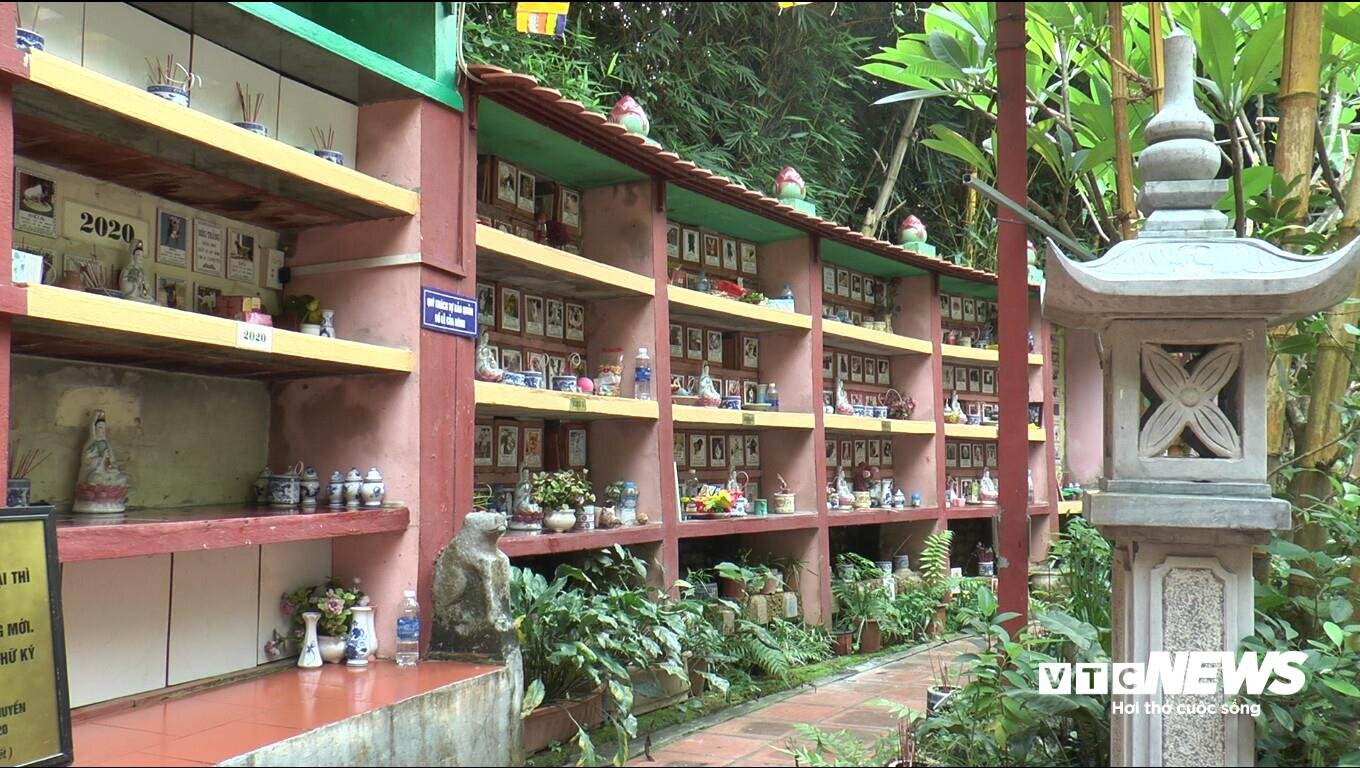 Ông lão 83 tuổi và nghĩa trang thú cưng có một không hai ở Việt Nam - 2