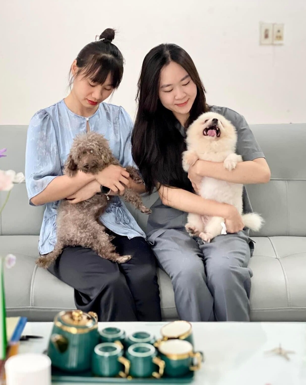 Ông lão 83 tuổi và nghĩa trang thú cưng có một không hai ở Việt Nam - 25