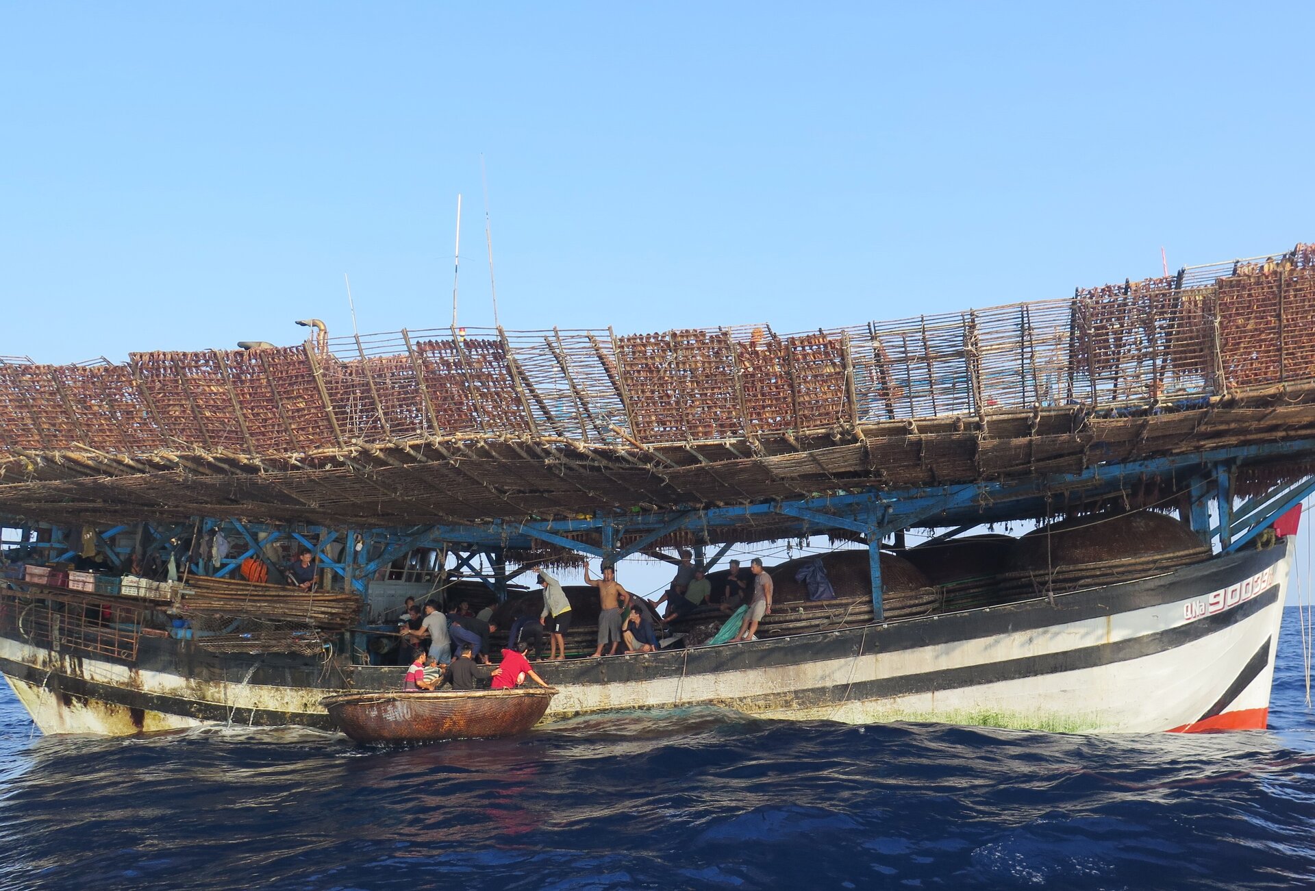 Toàn cảnh cứu hộ, đưa 80 ngư dân chìm tàu từ Trường Sa về đất liền - 2