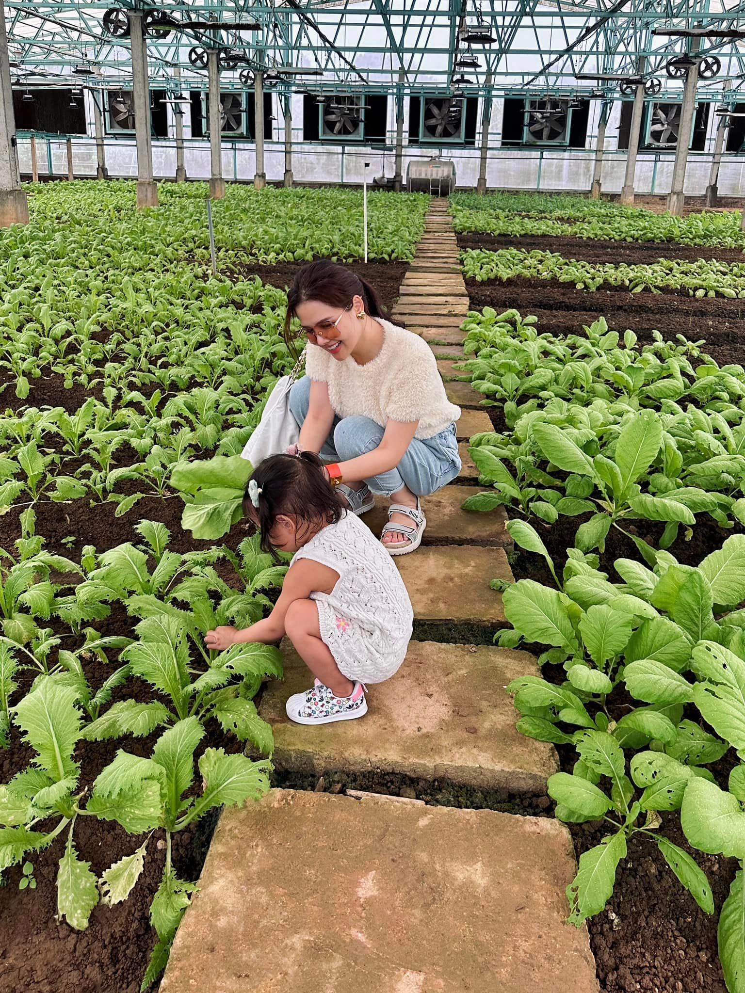 Diễn viên Phanh Lee cùng con trải nghiệm cuộc sống nông thôn - 2