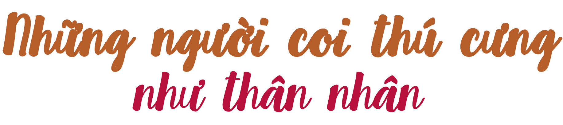 Ông lão 83 tuổi và nghĩa trang thú cưng có một không hai ở Việt Nam - 23