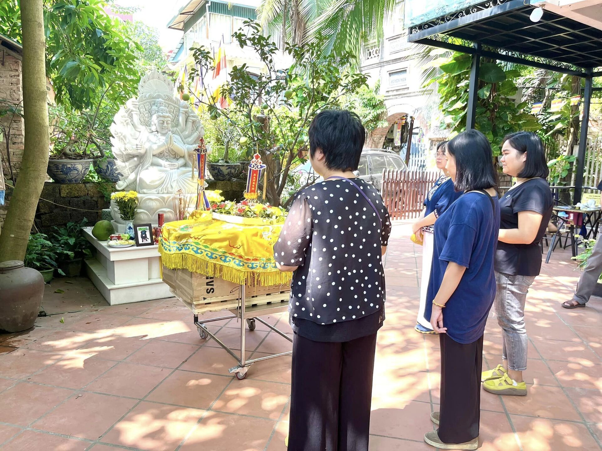 Ông lão 83 tuổi và nghĩa trang thú cưng có một không hai ở Việt Nam - 11