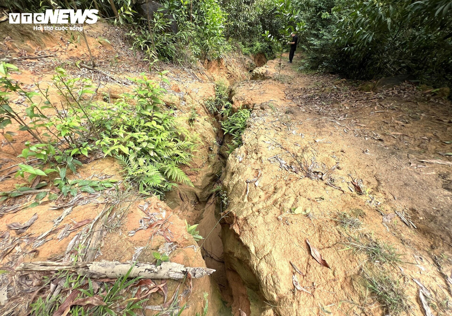 Cận cảnh núi Cà Mon xuất hiện 3 vết nứt dài chục mét, dân nơm nớp lo sạt lở - 2