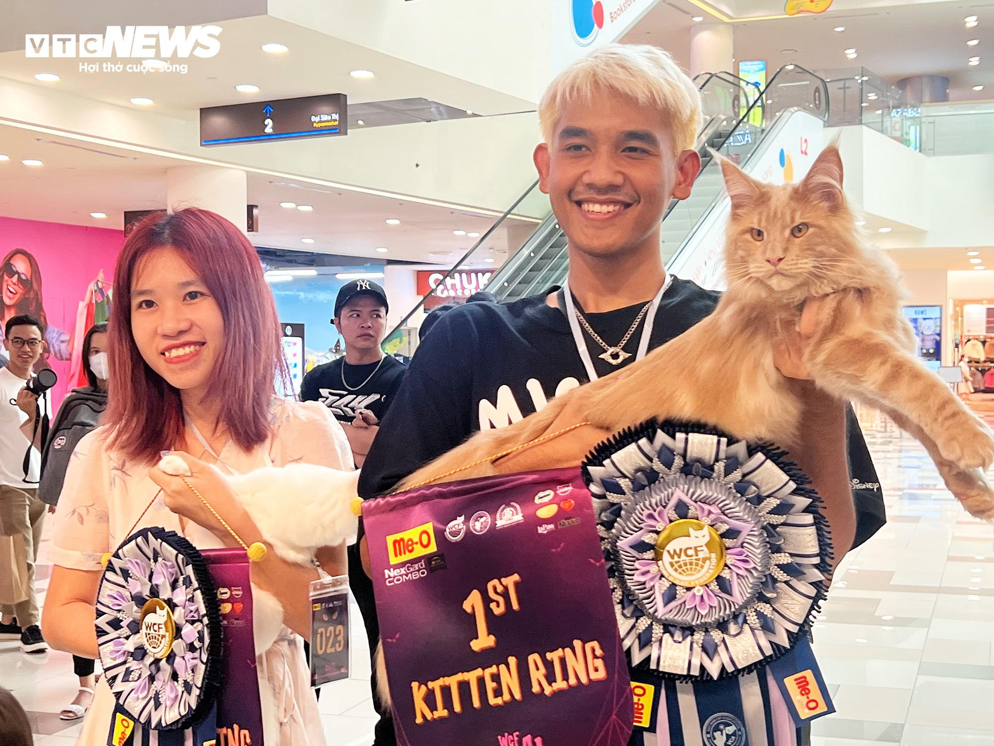 Mèo khắp Đông Nam Á hội ngộ về TP.HCM tham dự cuộc thi sắc đẹp - 10