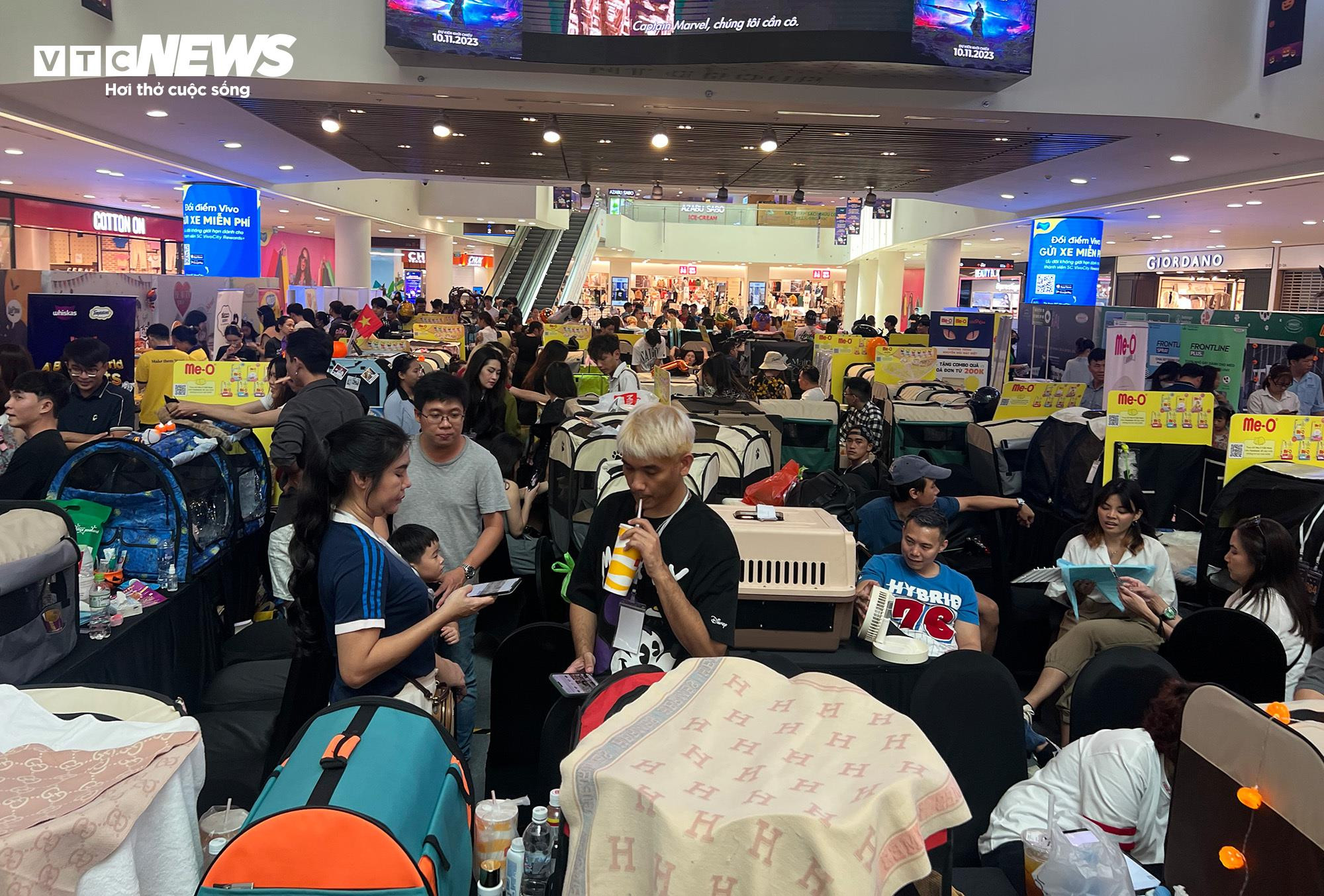 Mèo khắp Đông Nam Á hội ngộ về TP.HCM tham dự cuộc thi sắc đẹp - 2