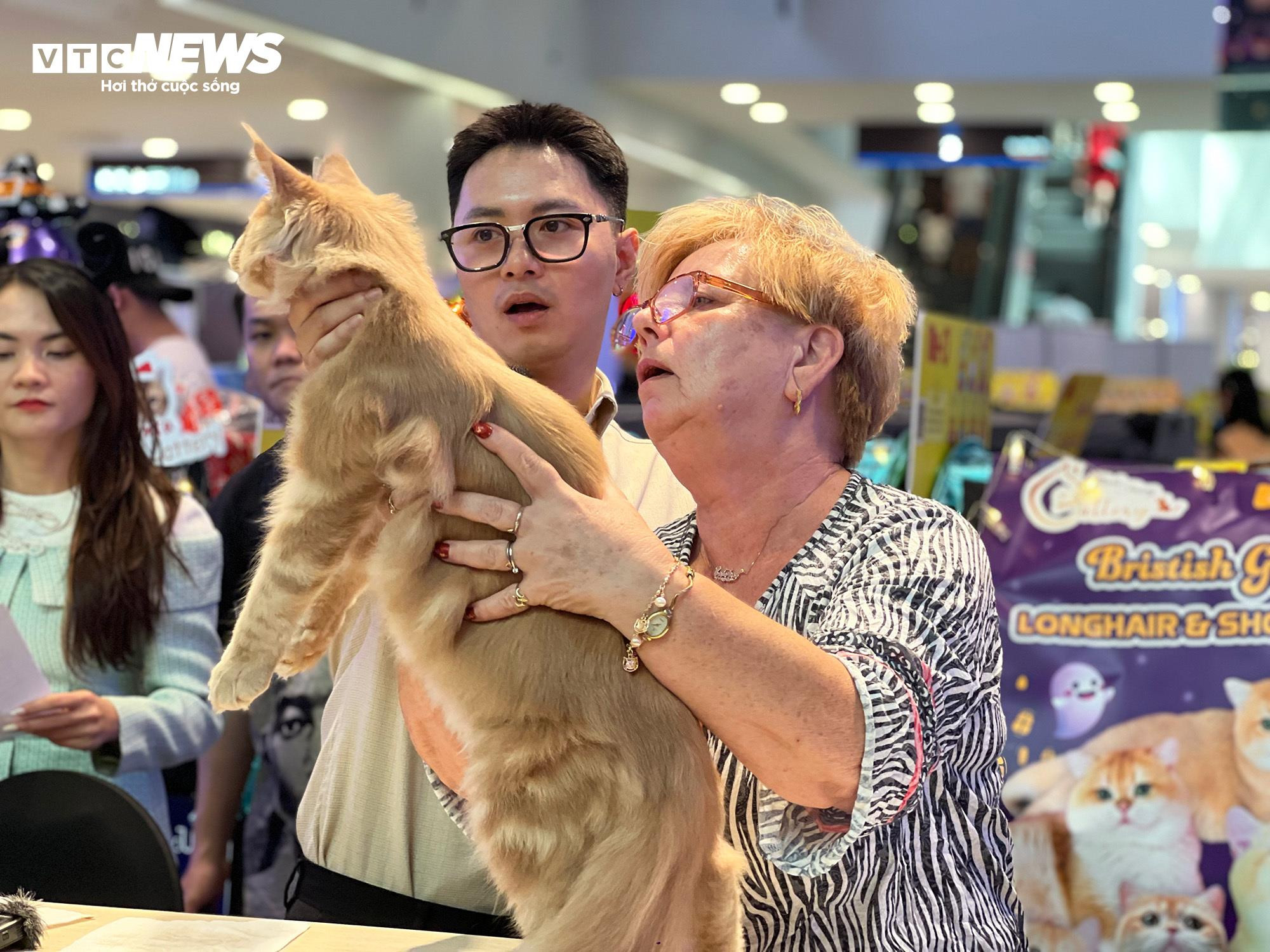 Mèo khắp Đông Nam Á hội ngộ về TP.HCM tham dự cuộc thi sắc đẹp - 6