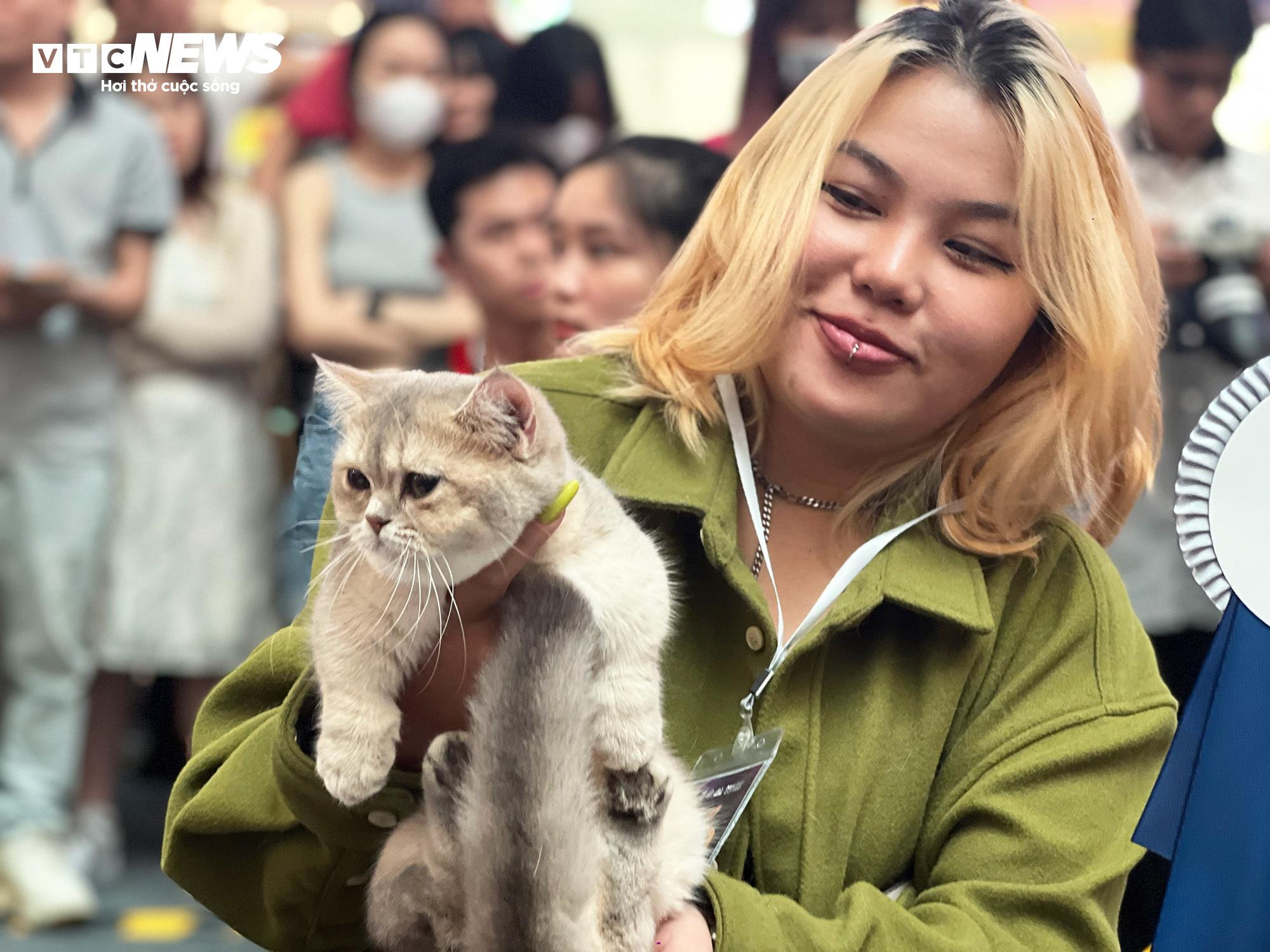 Mèo khắp Đông Nam Á hội ngộ về TP.HCM tham dự cuộc thi sắc đẹp - 8