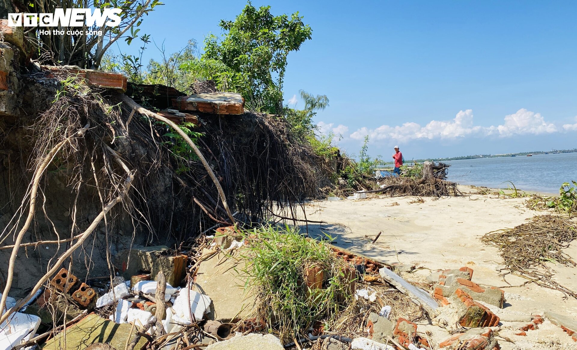 Triều cường công phá bờ biển suốt 1 thập kỷ, 'nuốt chửng' nhà cửa ở Quảng Nam - 7