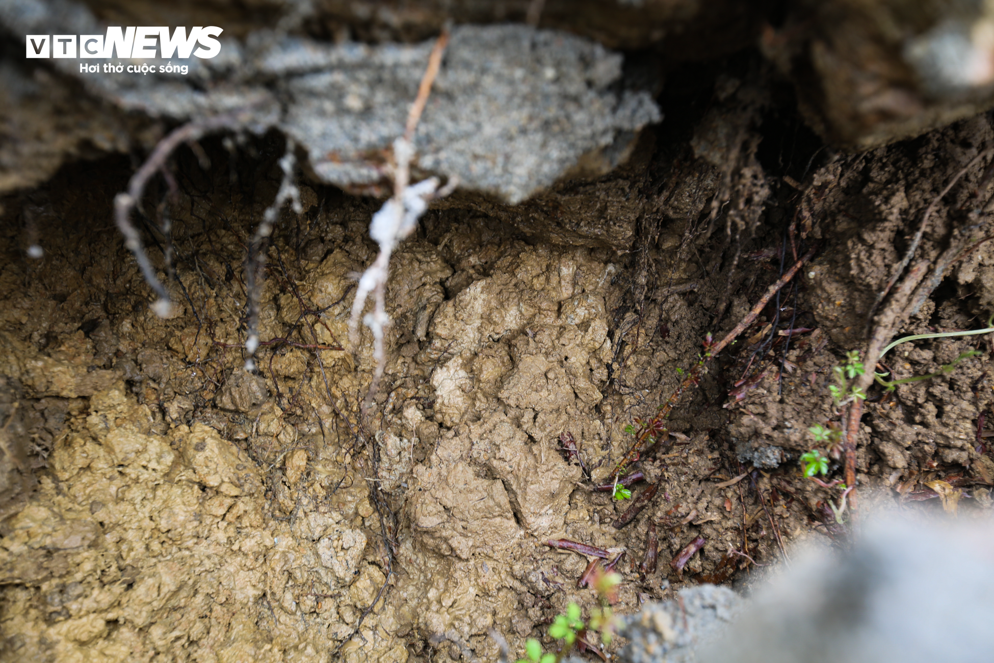 Dân mất ăn mất ngủ vì triều cường 'ngoạm' bờ sông, uy hiếp nhà cửa - 8