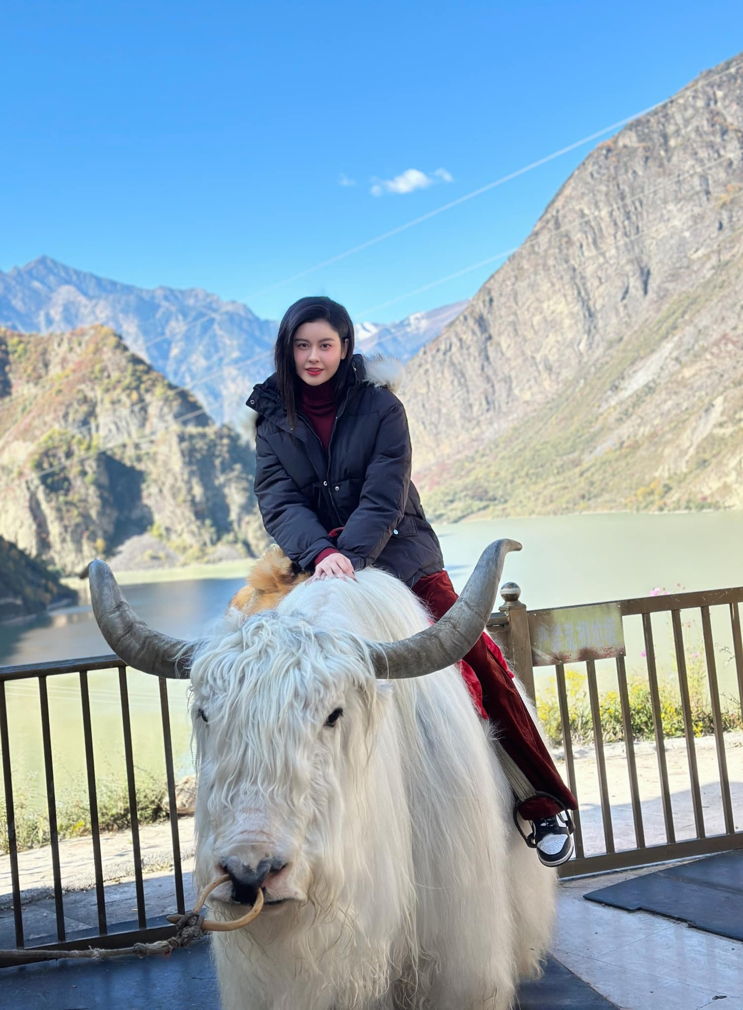 Sao Việt 3/11: Hồng Nhung nóng bỏng thời trẻ, Mạnh Trường kỷ niệm 15 năm cưới - 12