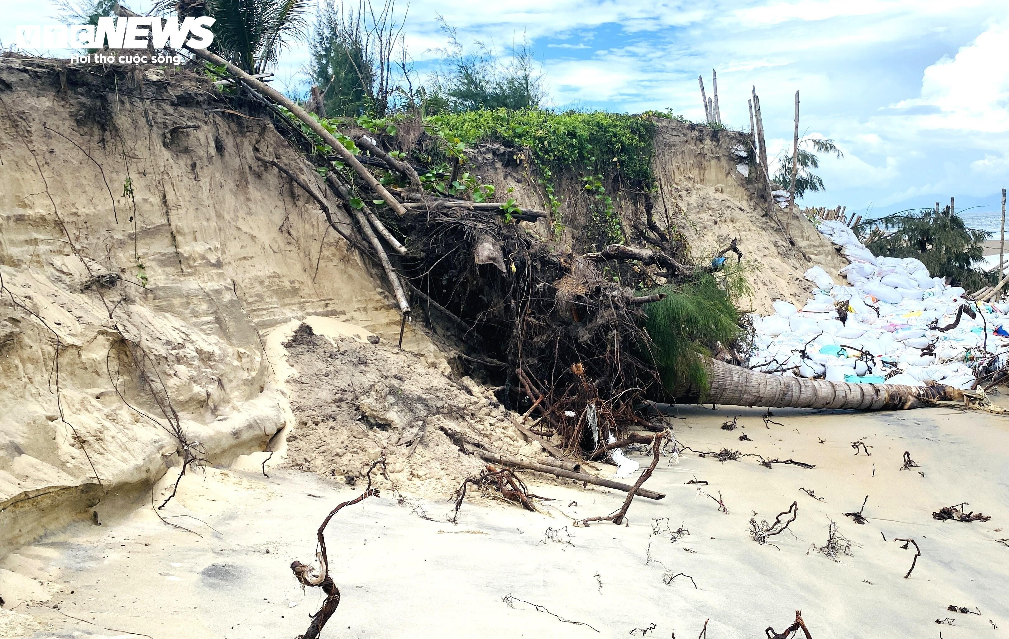  Sạt lở, rác thải tàn phá bãi biển đẹp nhất châu Á - 4