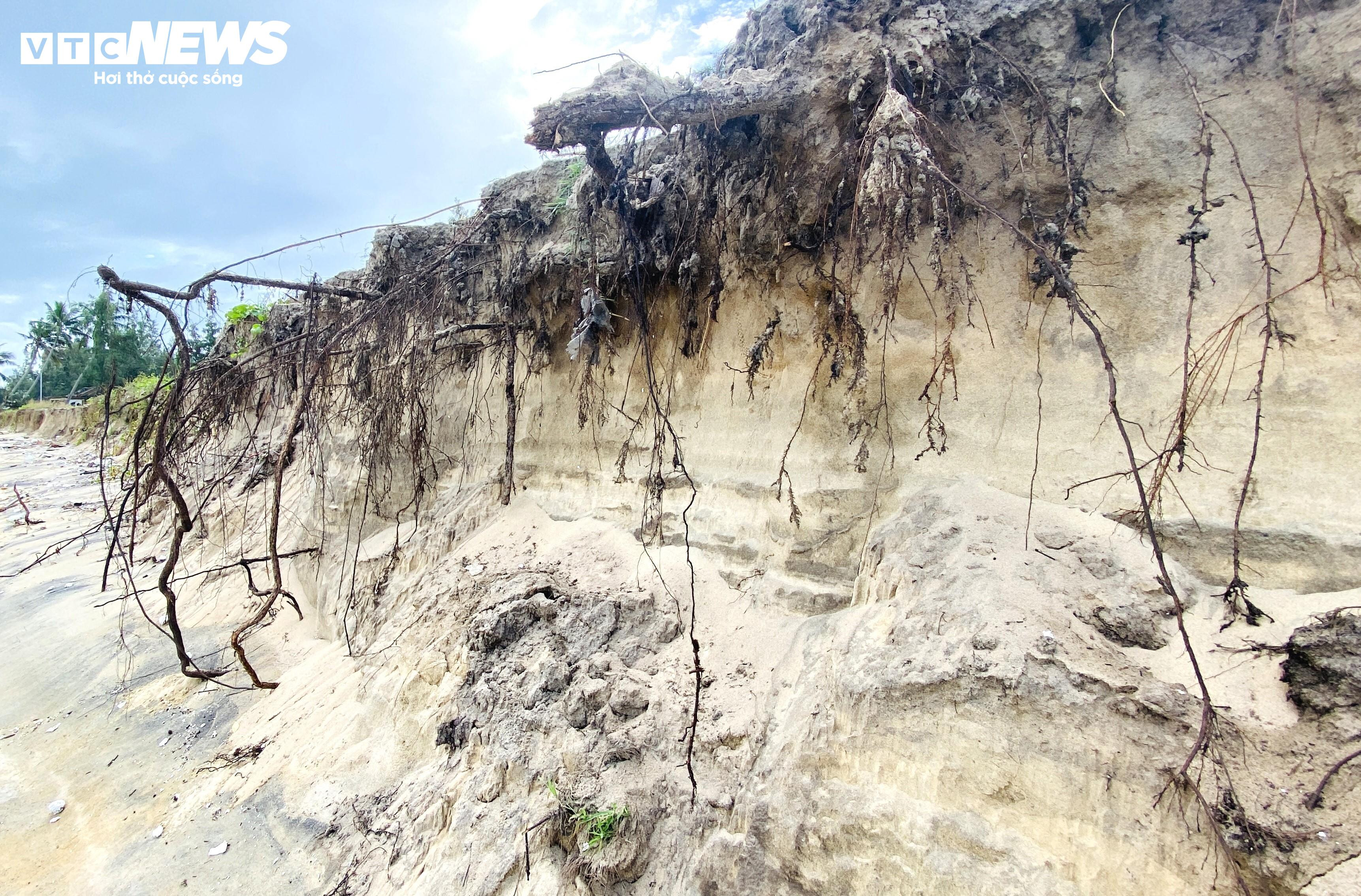  Sạt lở, rác thải tàn phá bãi biển đẹp nhất châu Á - 6