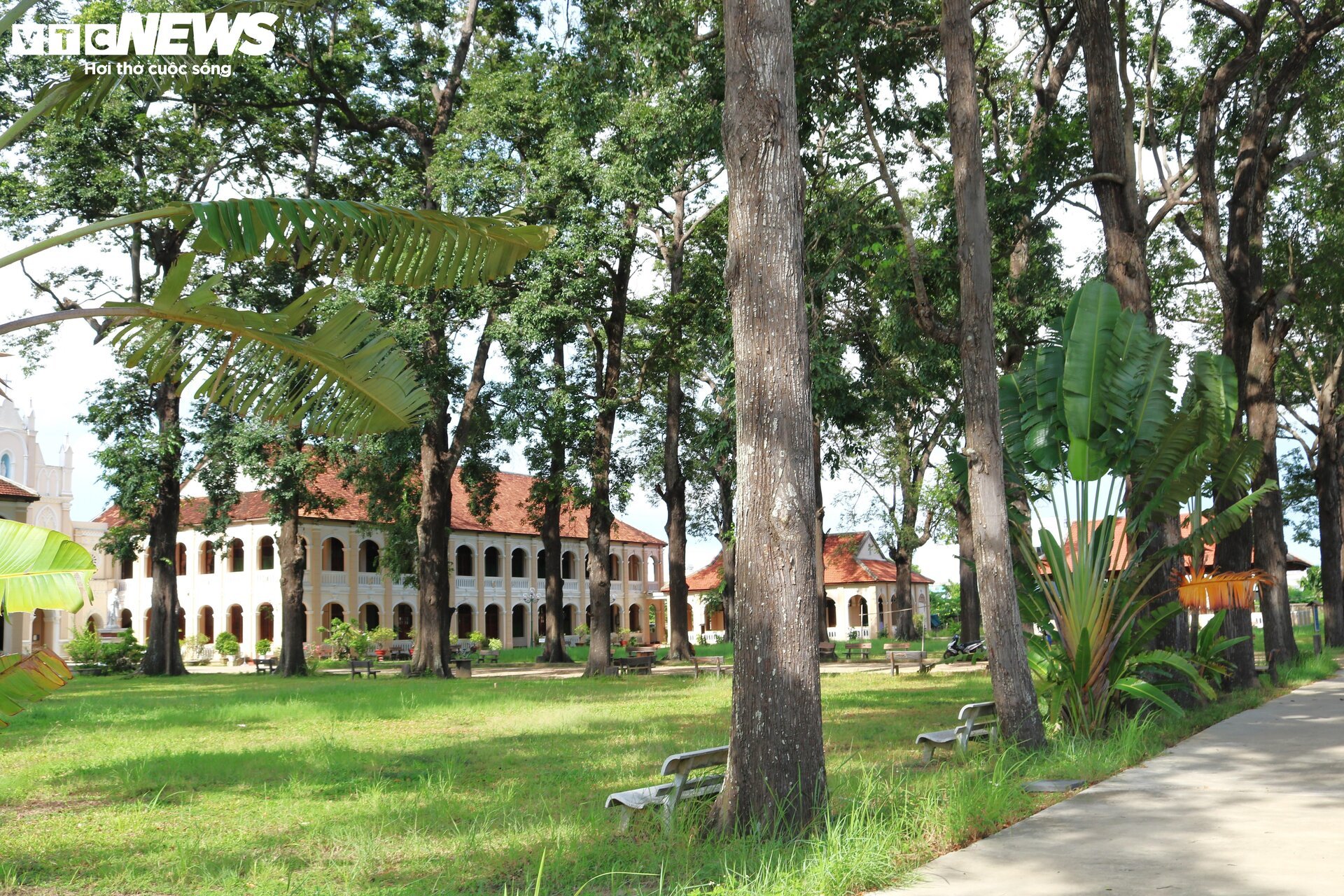 Tiểu chủng viện Làng Sông: Nét chấm phá trầm mặc tại Bình Định - 6