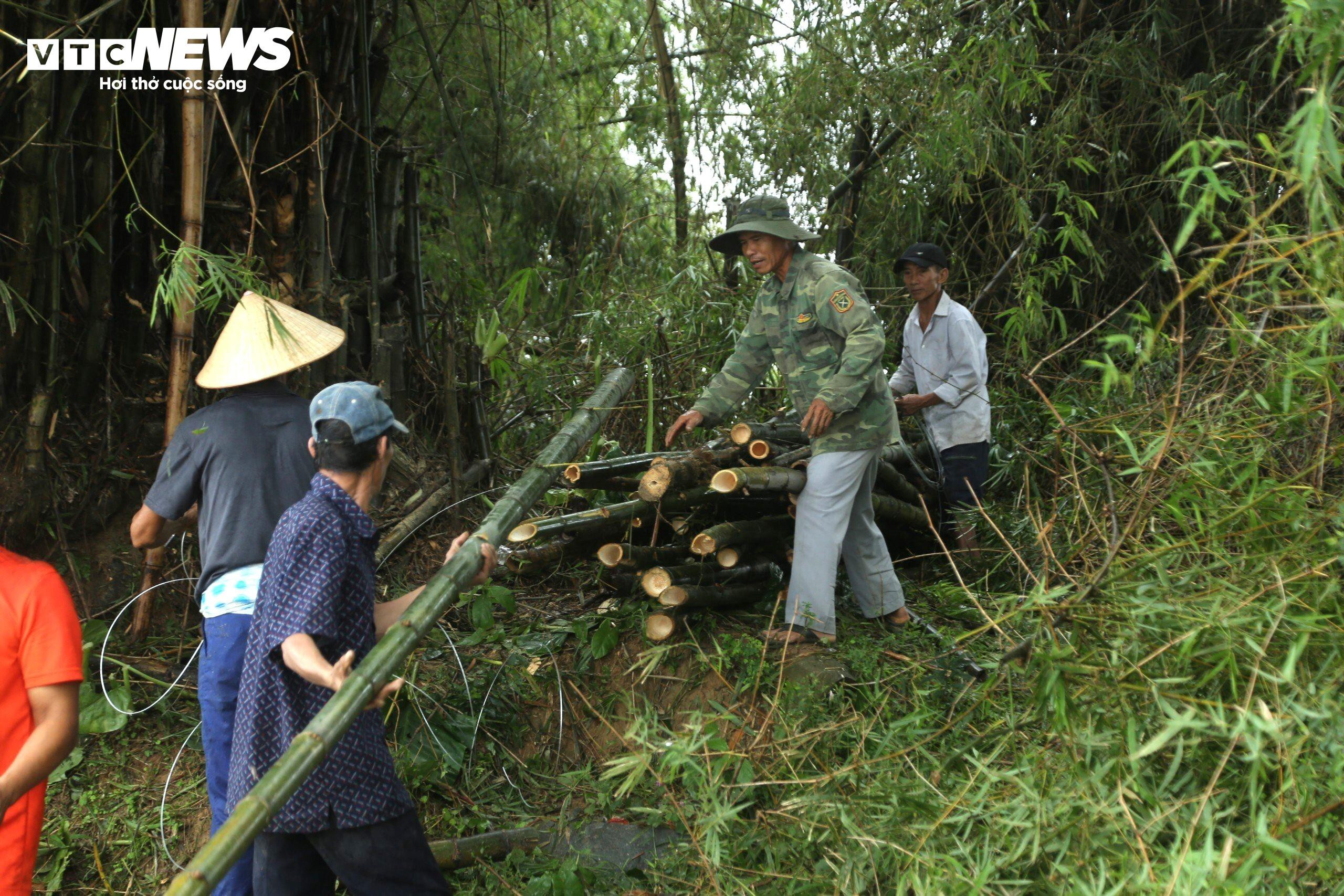 Dân vùng 'rốn lũ' Quảng Nam đóng cọc tre, nhồi bao cát 'vá' bờ sông sạt lở - 4
