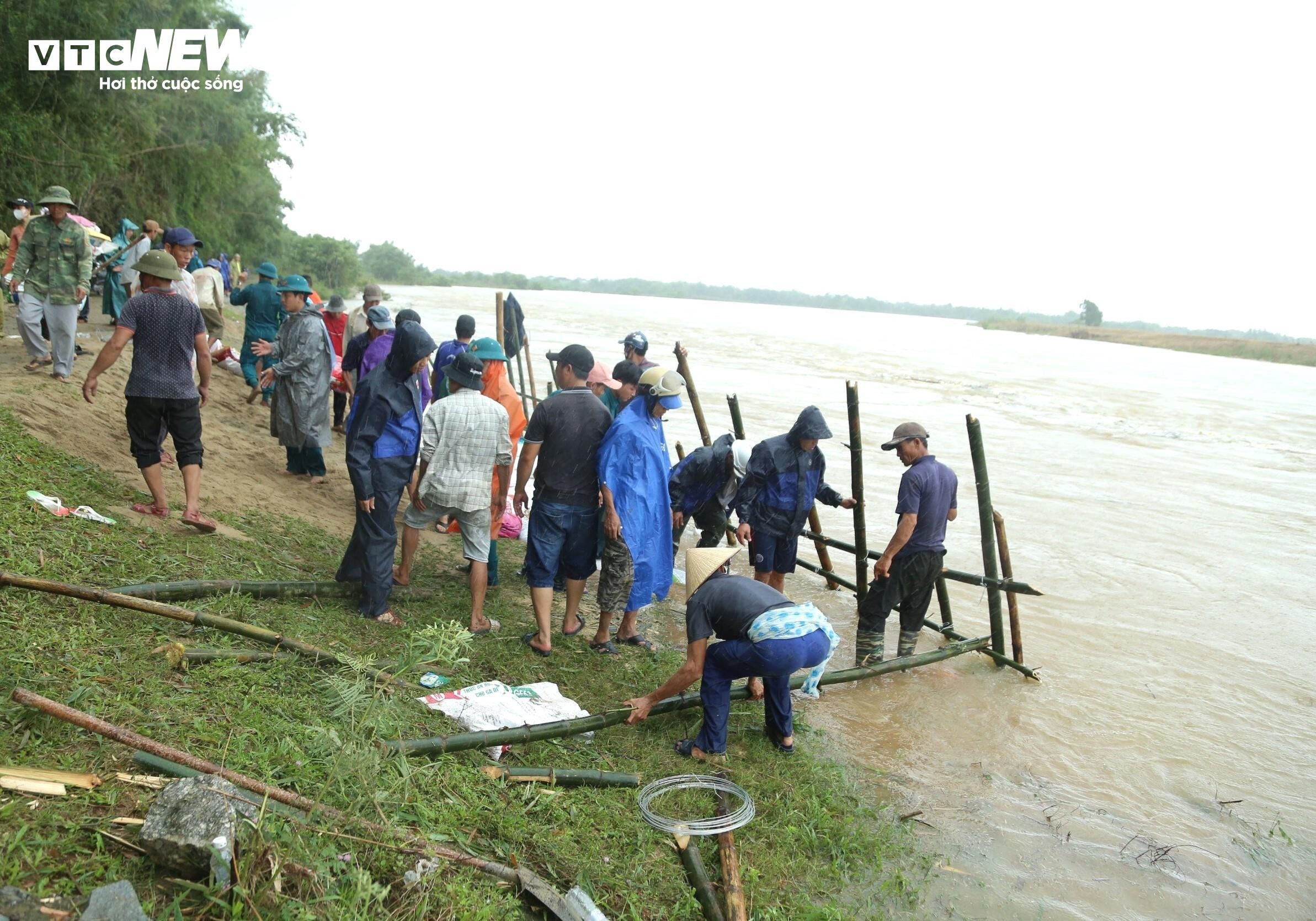 Dân vùng 'rốn lũ' Quảng Nam đóng cọc tre, nhồi bao cát 'vá' bờ sông sạt lở - 5