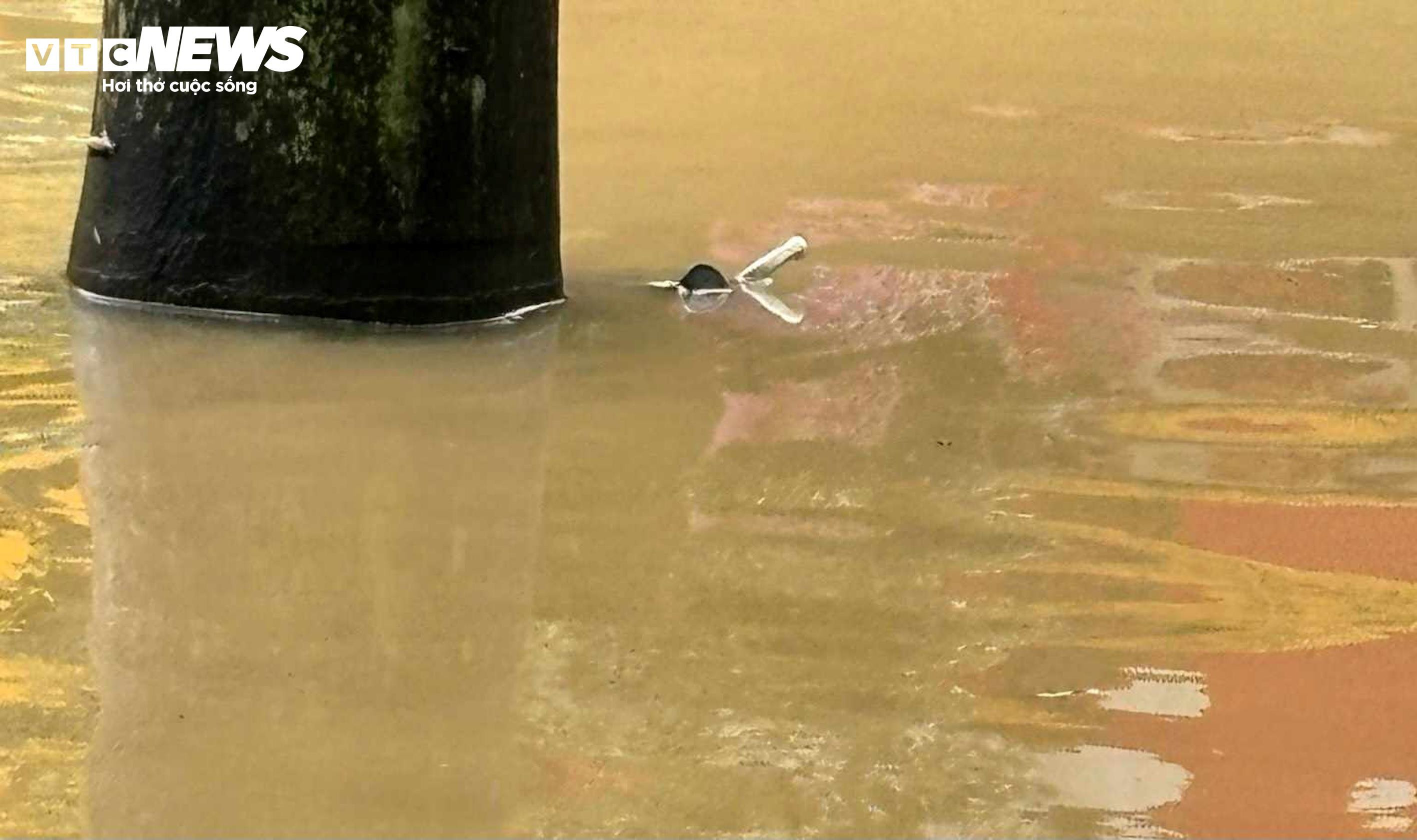 Ô tô, xe máy ngâm trong nước lũ, người dân Huế 'khóc ròng' - 8