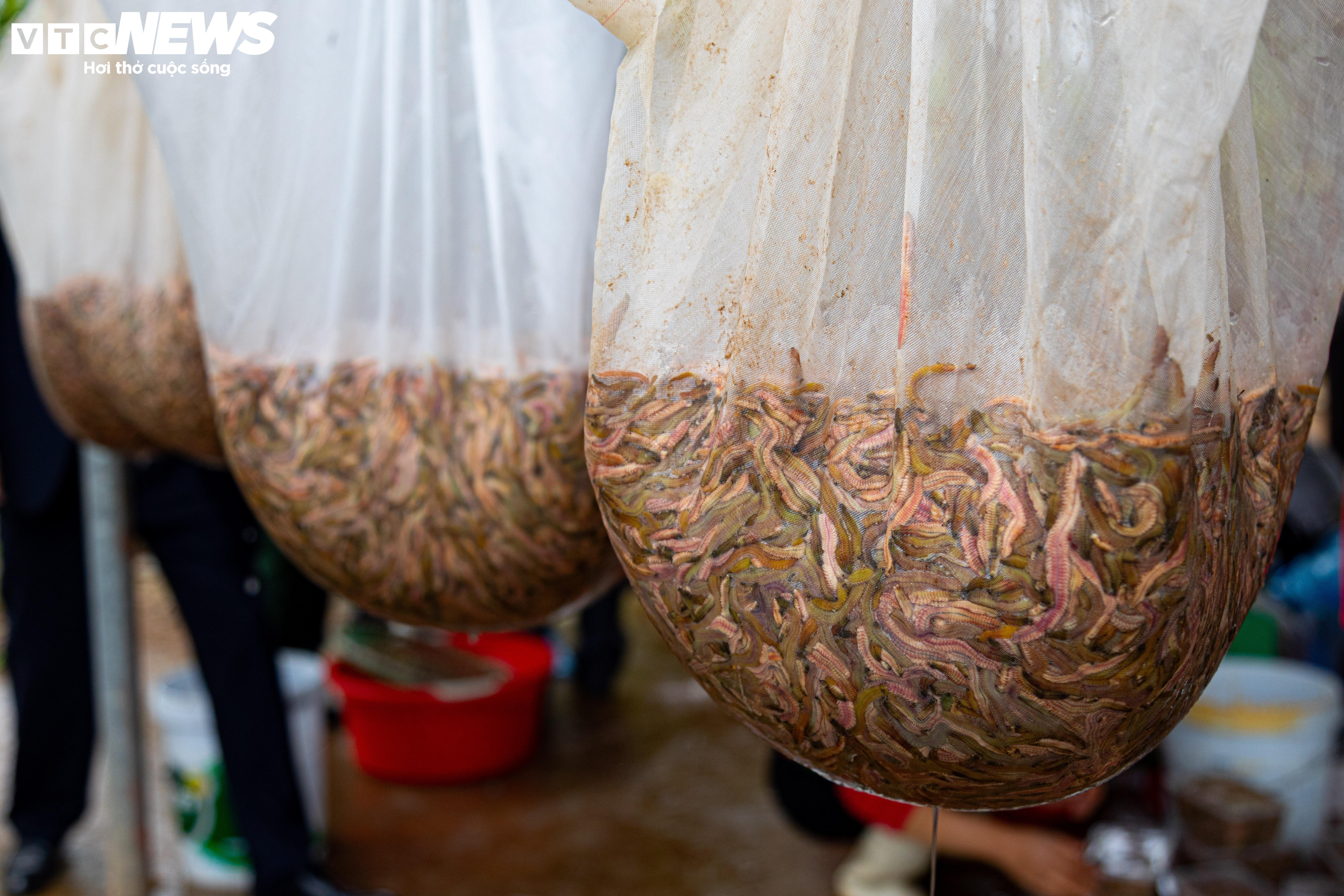 Kiếm hơn 200 triệu đồng chỉ sau một ngày vớt 'lộc trời' - 9