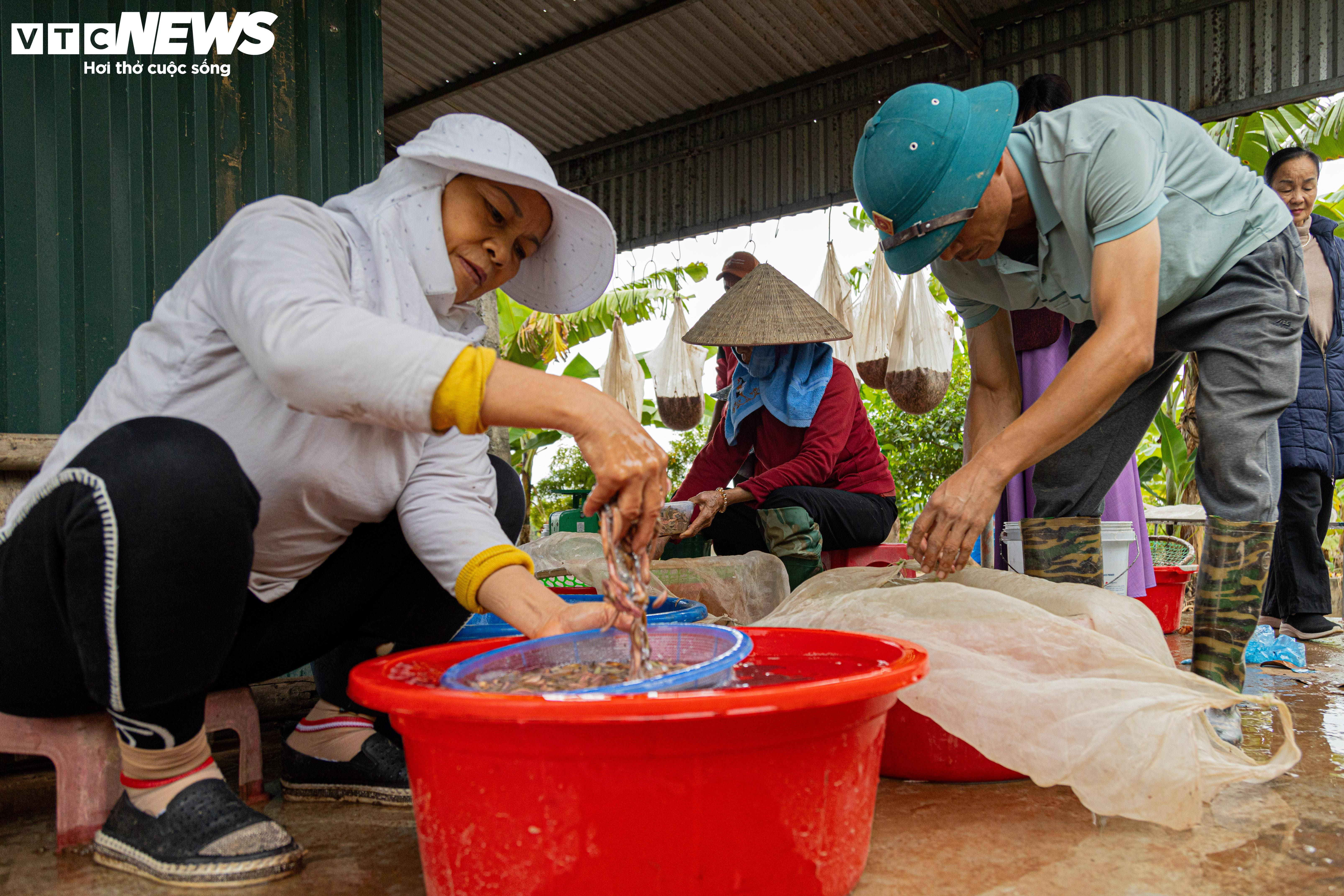 Kiếm hơn 200 triệu đồng chỉ sau một ngày vớt 'lộc trời' - 10