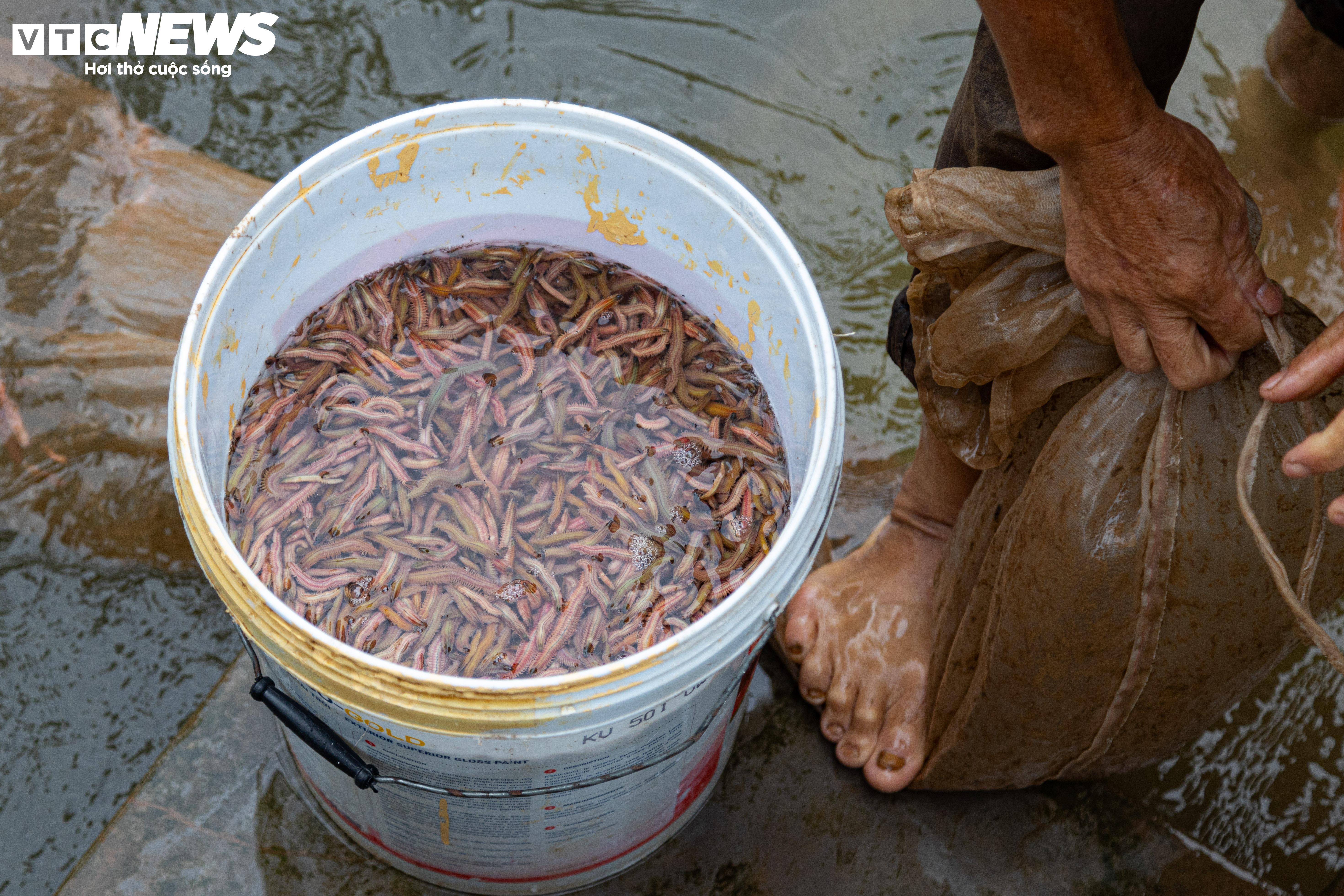 Kiếm hơn 200 triệu đồng chỉ sau một ngày vớt 'lộc trời' - 6