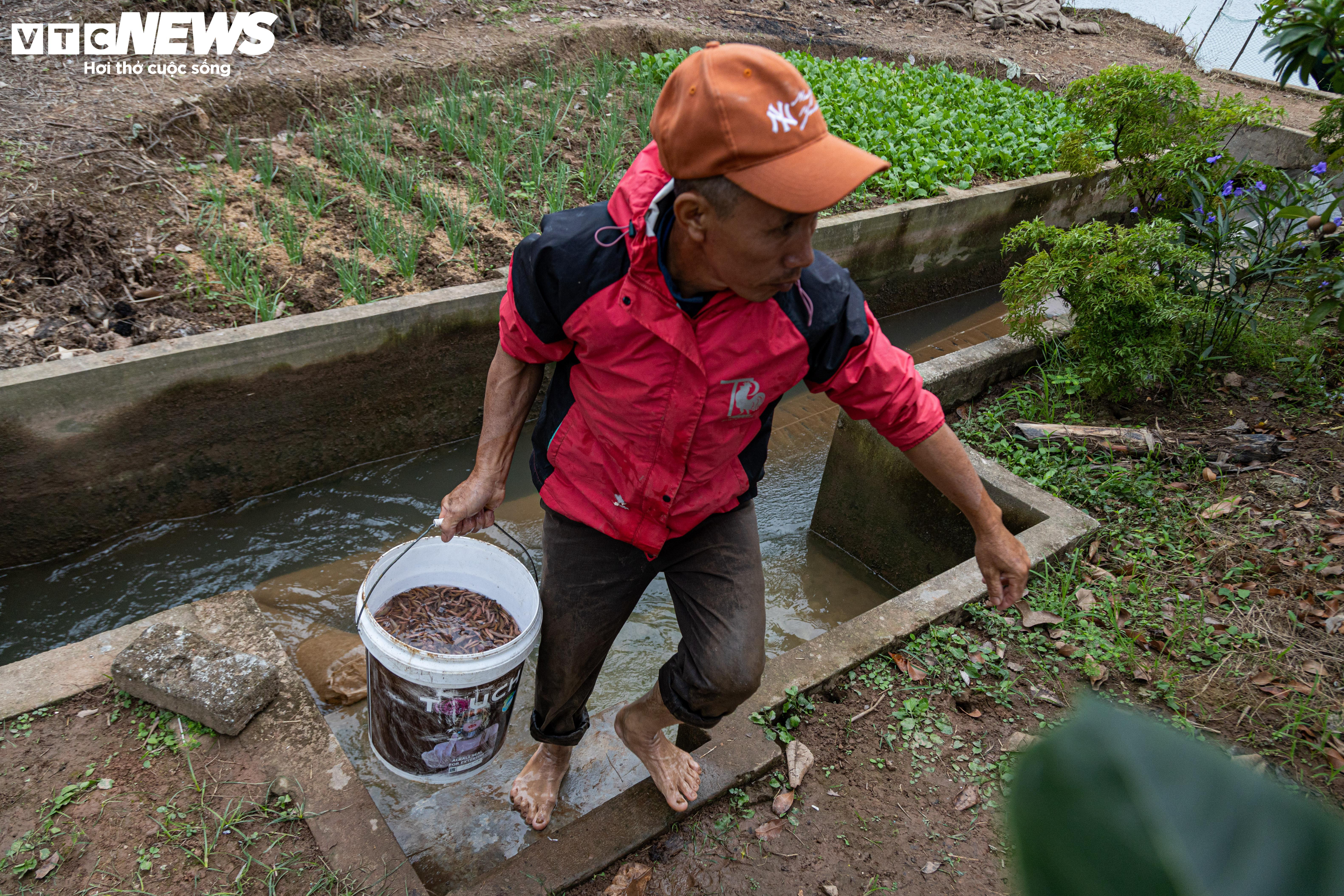 Kiếm hơn 200 triệu đồng chỉ sau một ngày vớt 'lộc trời' - 7