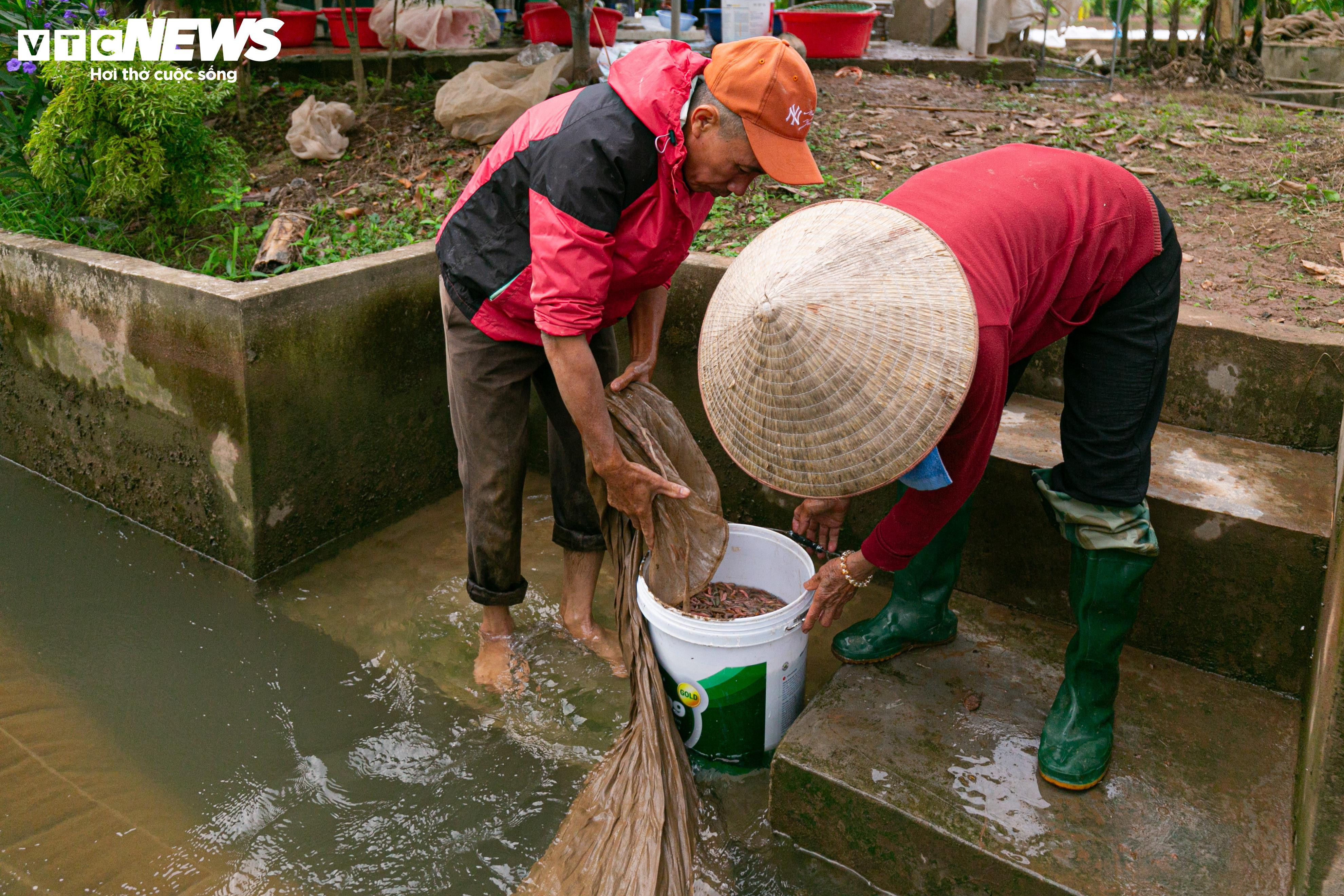 Kiếm hơn 200 triệu đồng chỉ sau một ngày vớt 'lộc trời' - 5