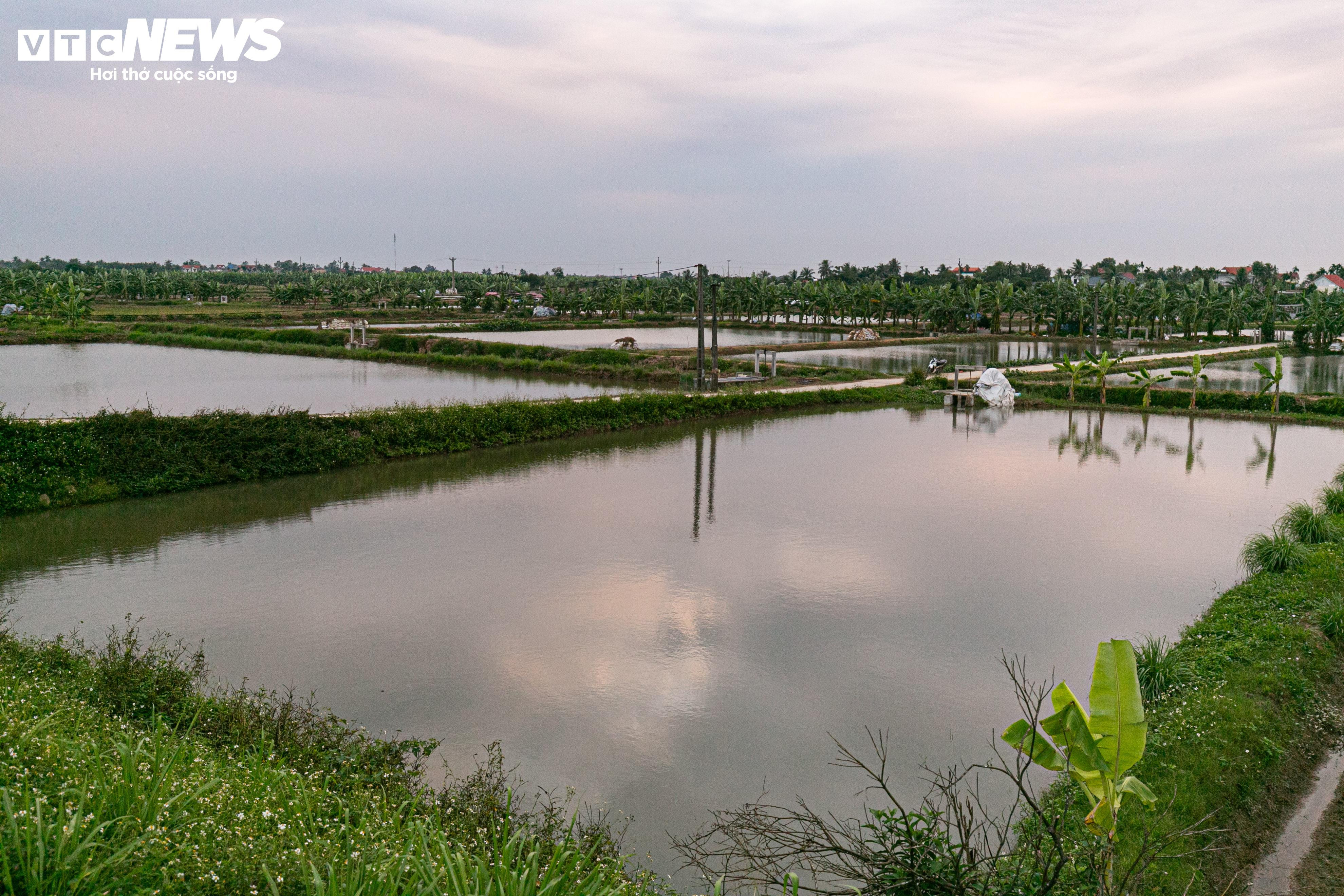 Kiếm hơn 200 triệu đồng chỉ sau một ngày vớt 'lộc trời' - 1