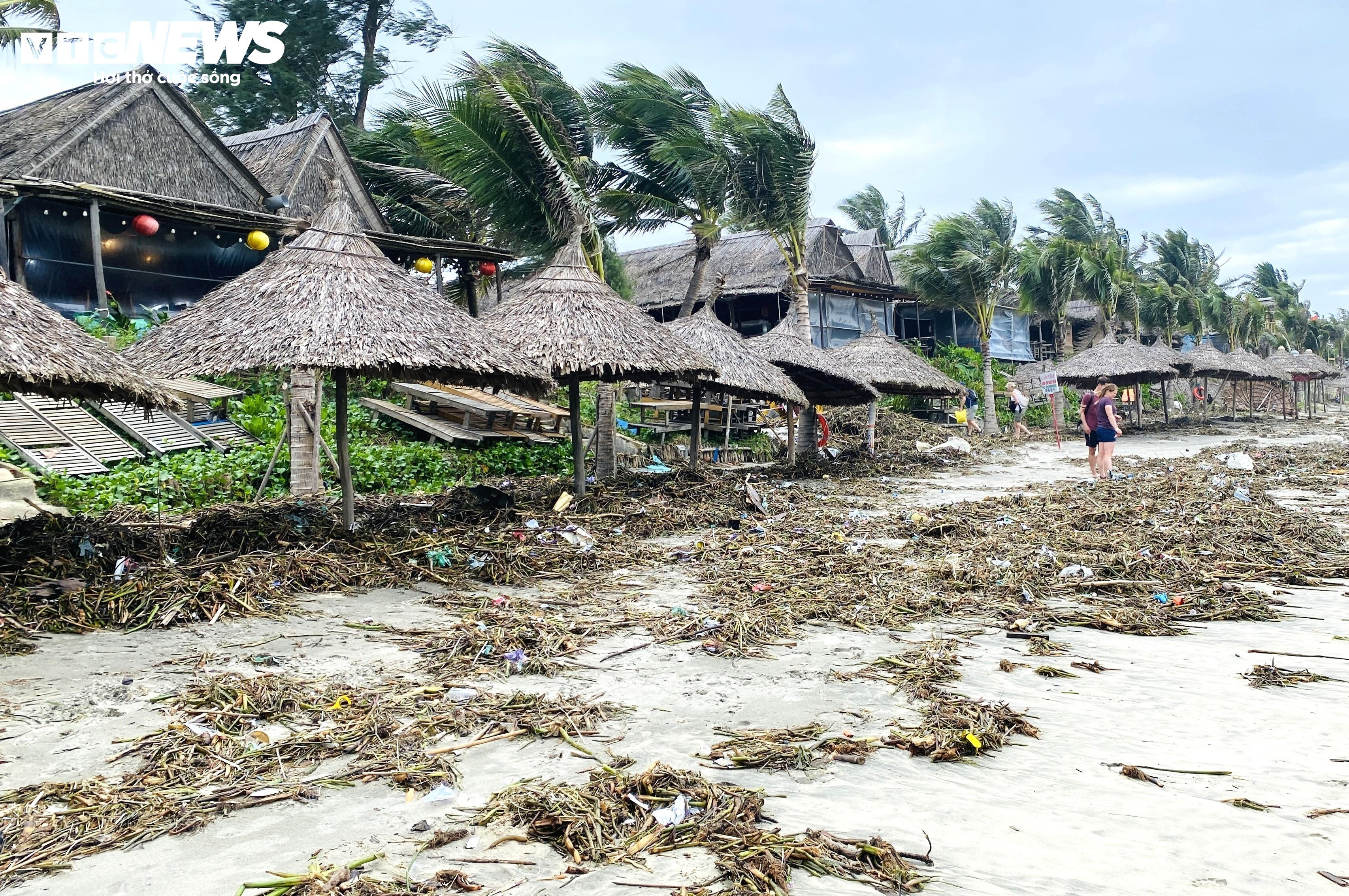 Rác thải, lục bình tràn ngập bãi biển đẹp nhất châu Á ở Hội An - 4