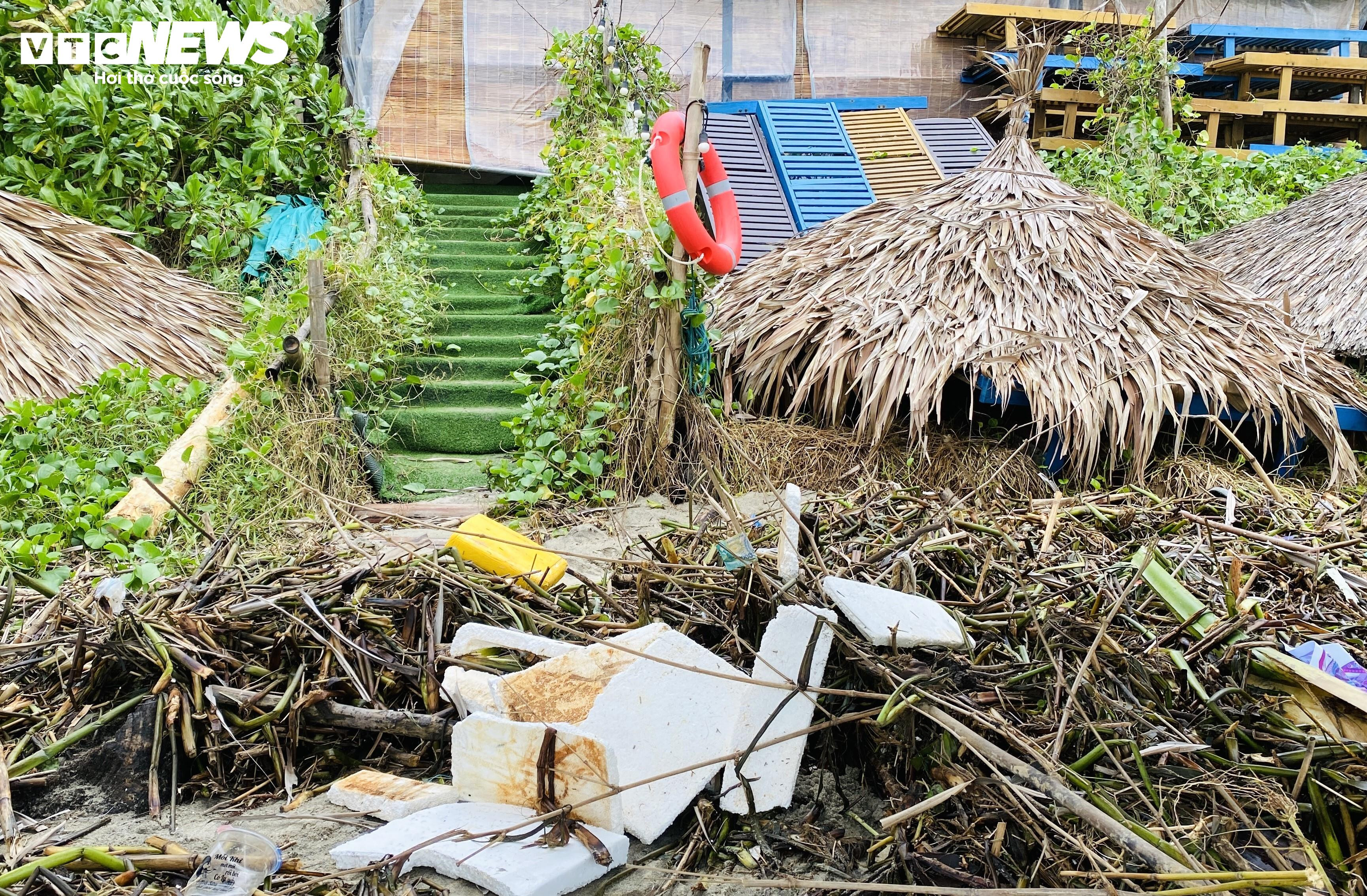 Rác thải, lục bình tràn ngập bãi biển đẹp nhất châu Á ở Hội An - 5