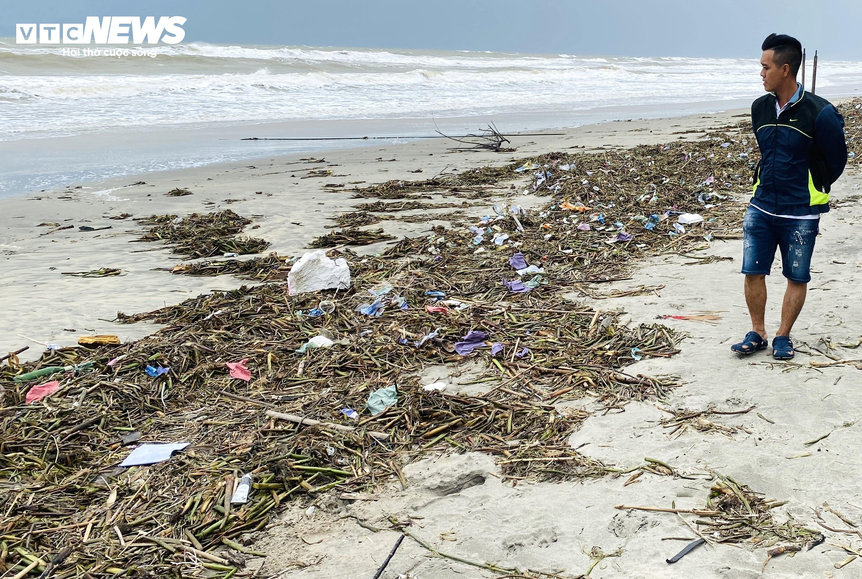 Rác thải, lục bình tràn ngập bãi biển đẹp nhất châu Á ở Hội An - 6