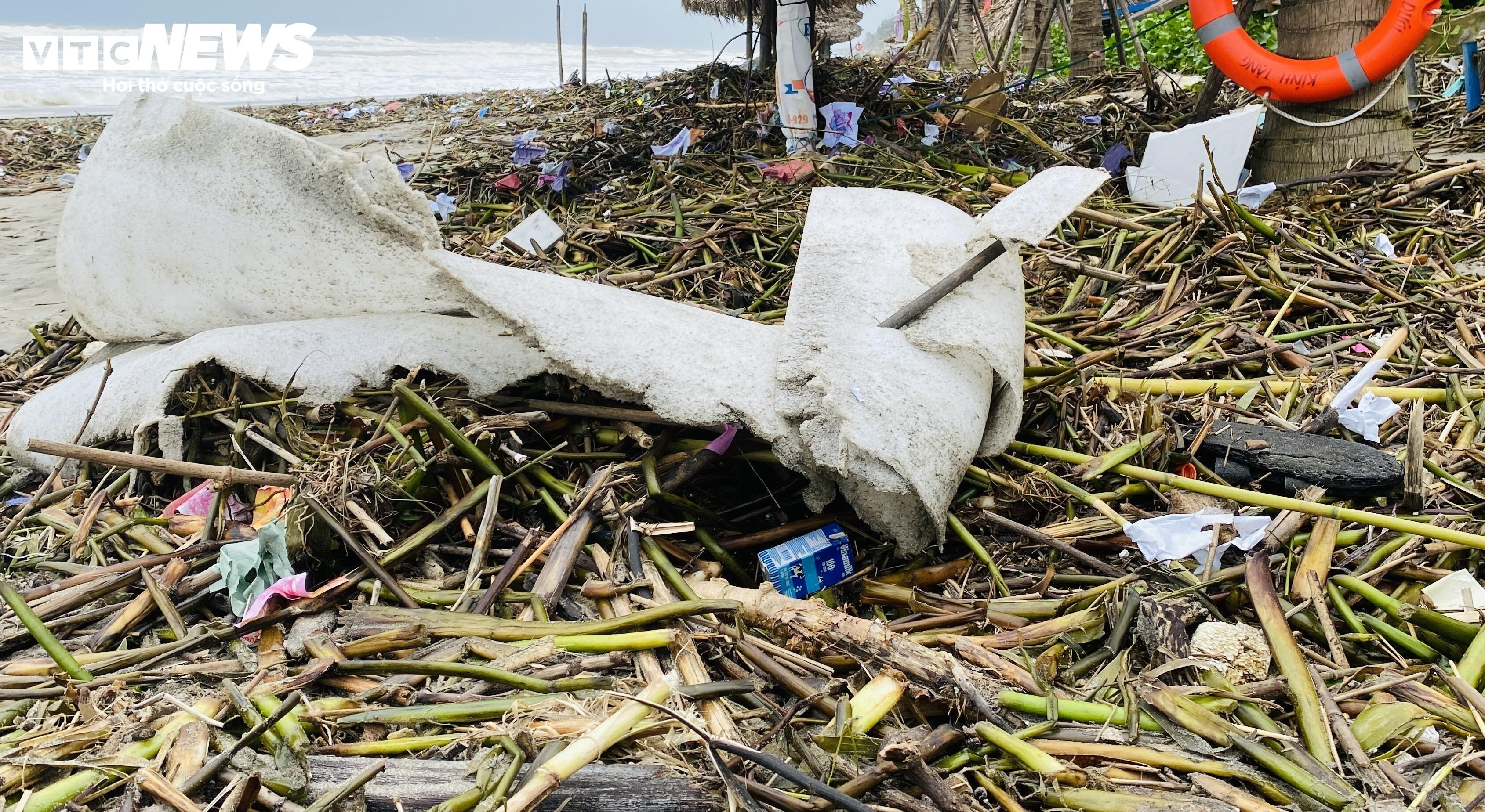 Rác thải, lục bình tràn ngập bãi biển đẹp nhất châu Á ở Hội An - 3
