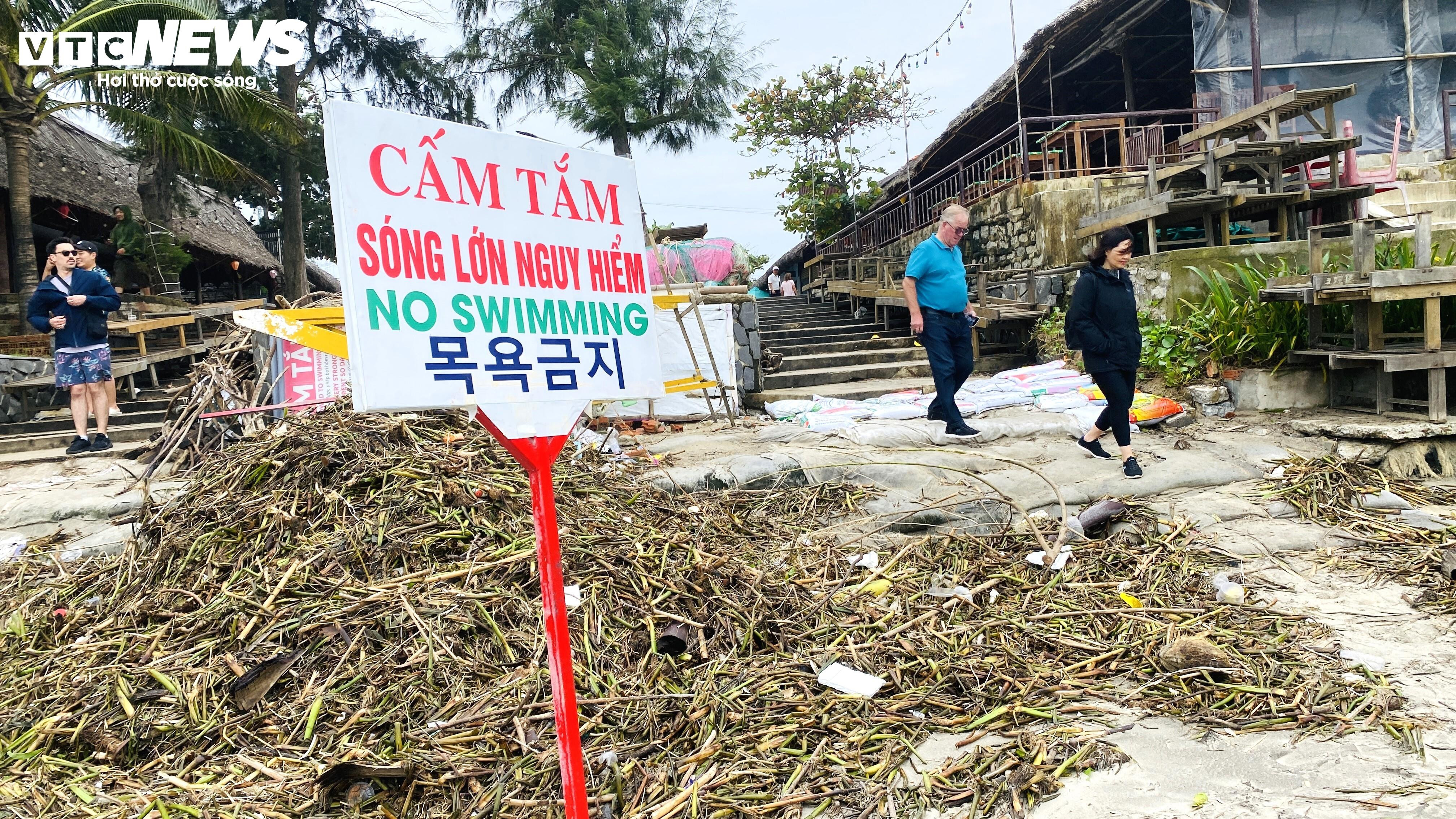 Rác thải, lục bình tràn ngập bãi biển đẹp nhất châu Á ở Hội An - 8