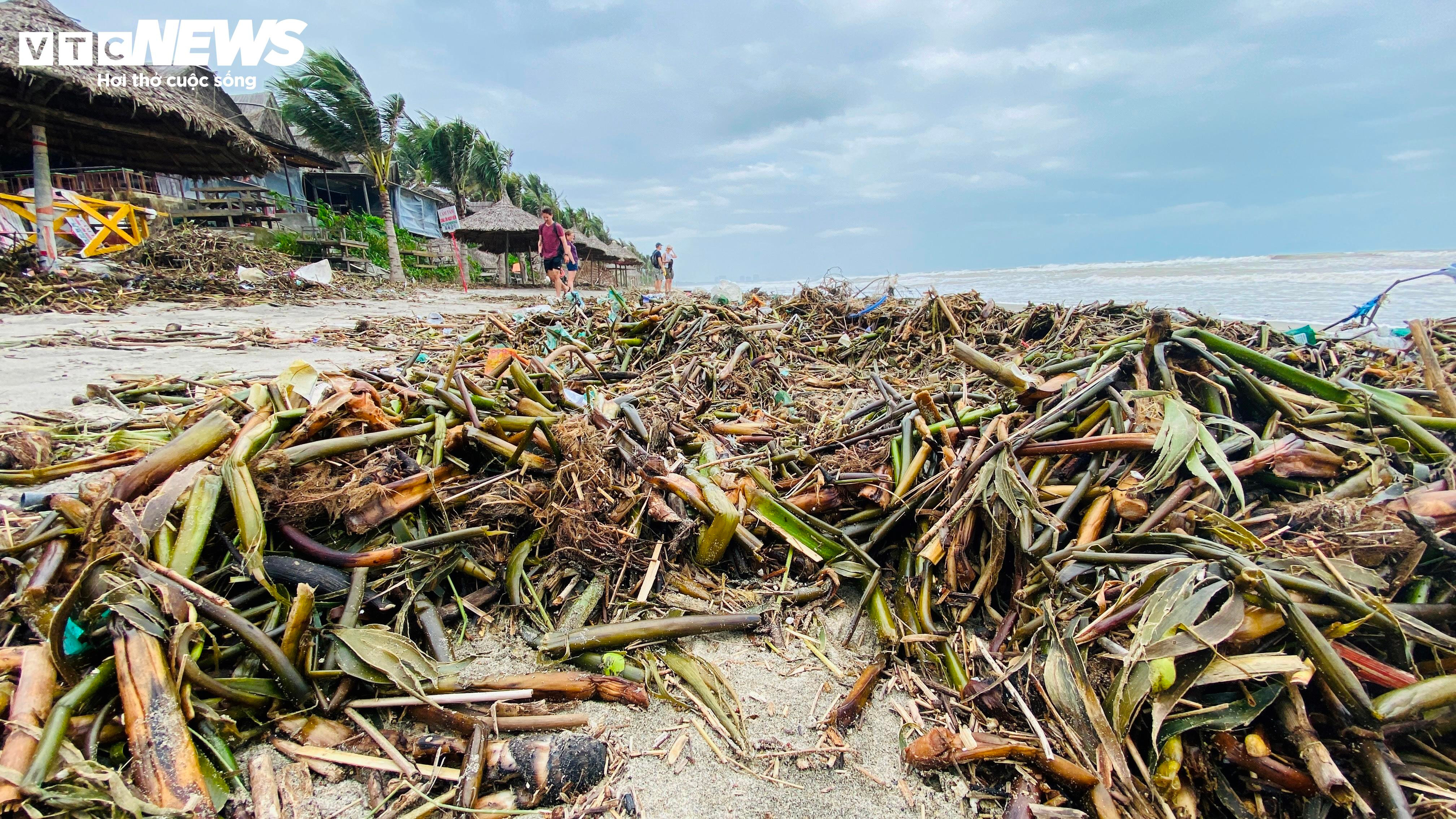 Rác thải, lục bình tràn ngập bãi biển đẹp nhất châu Á ở Hội An - 1